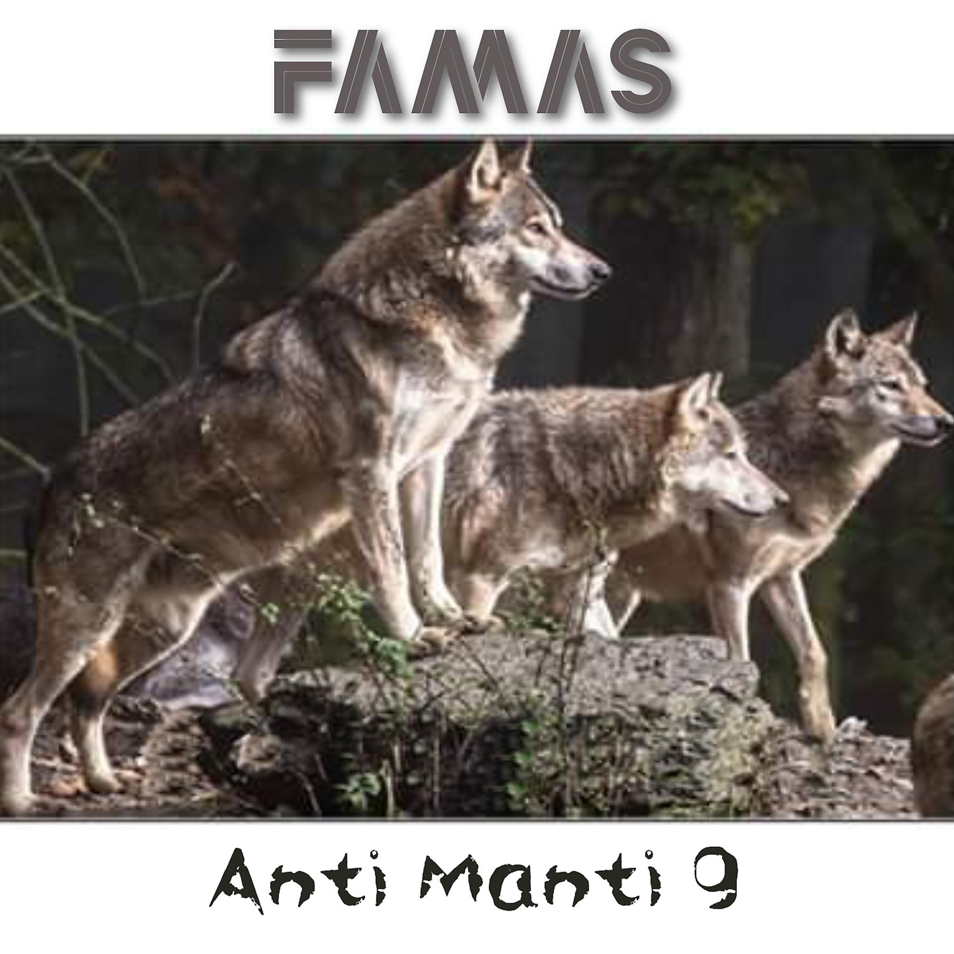 Постер альбома Anti Manti 9