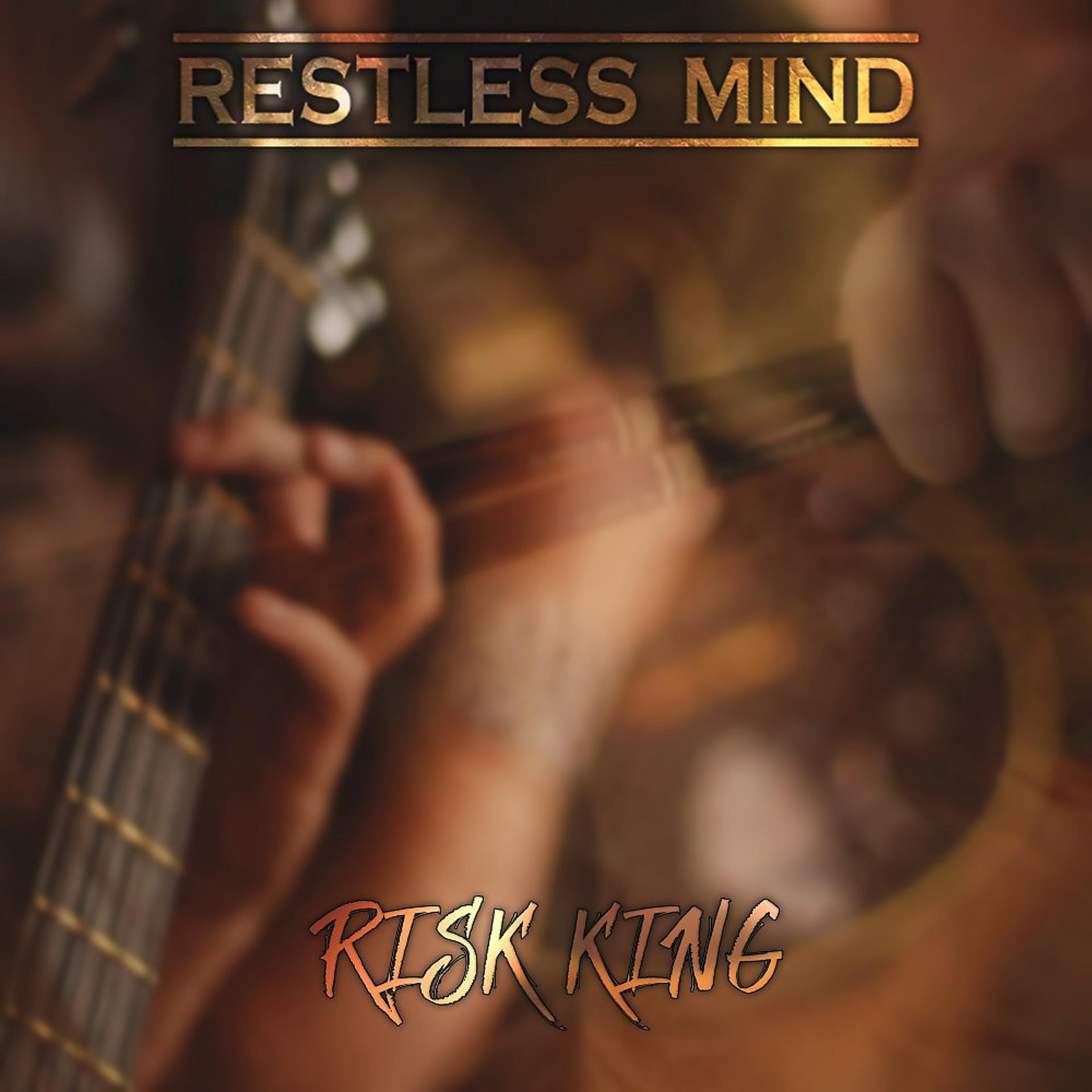 Постер альбома Risk King