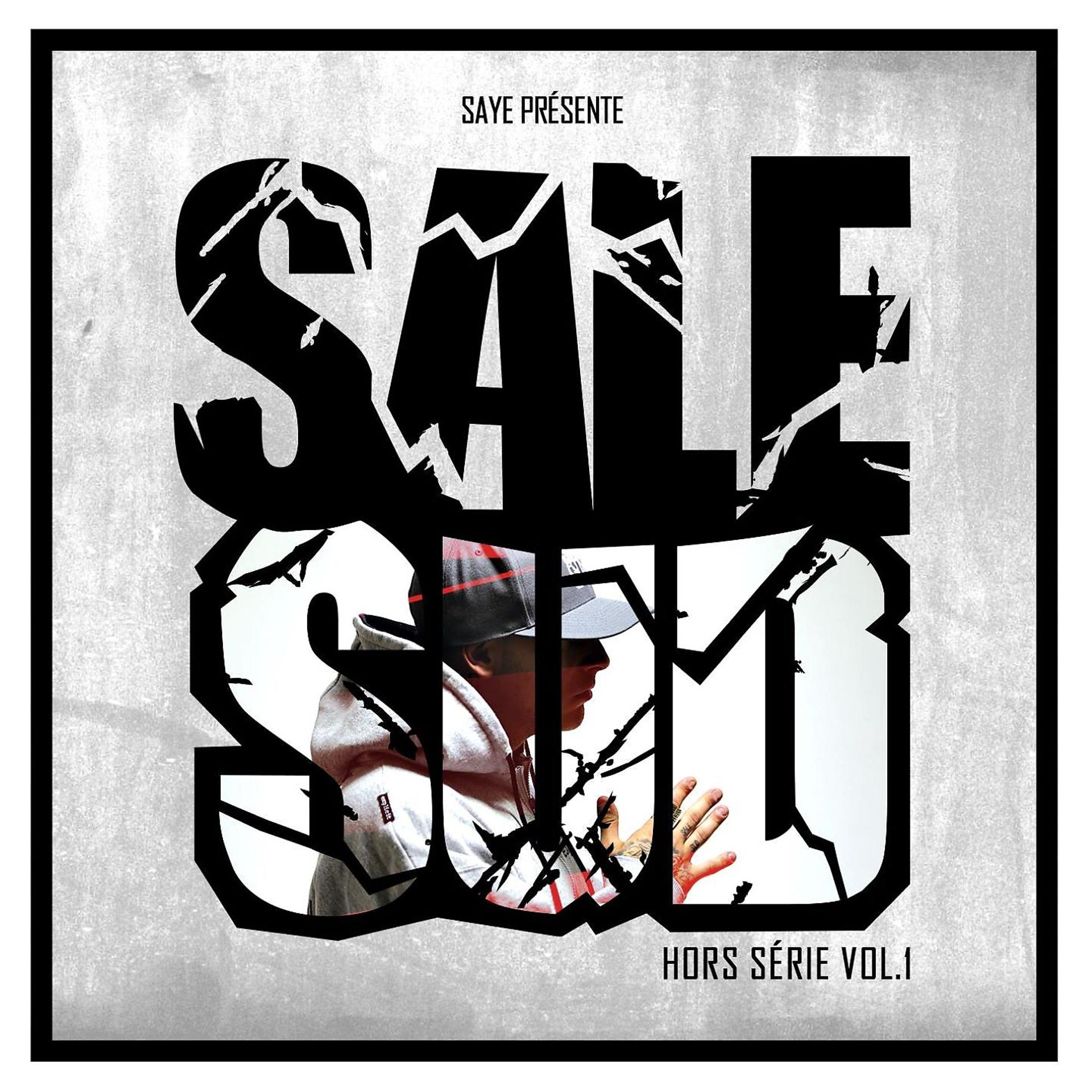 Постер альбома Sale sud