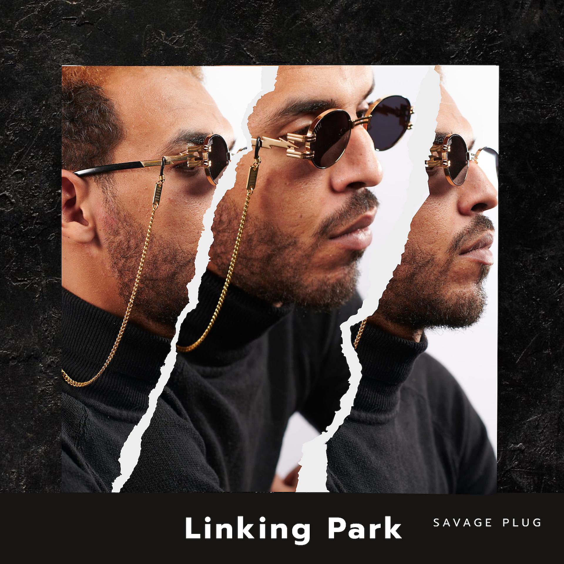 Постер альбома Linking Park
