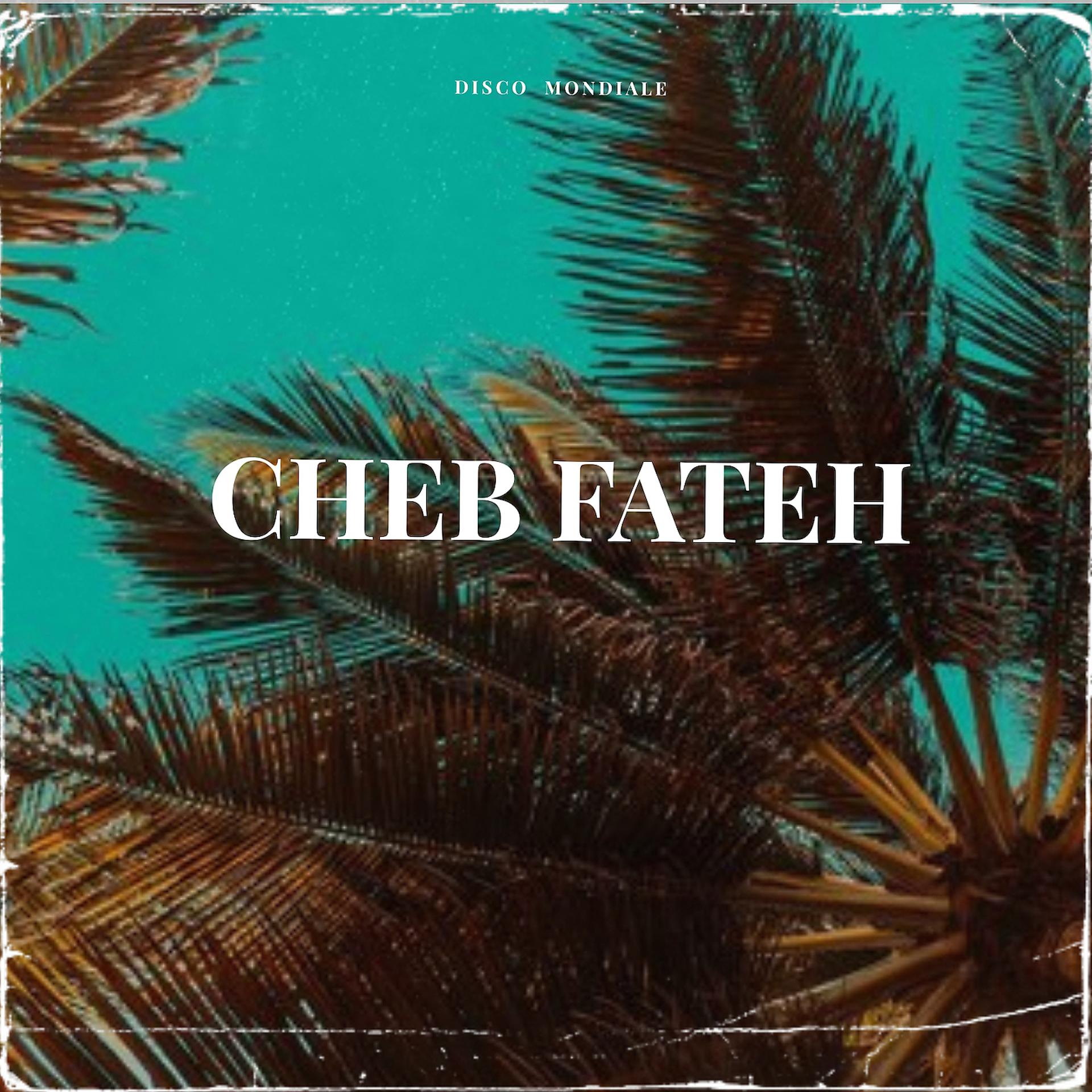 Постер альбома Cheb Fateh Collection