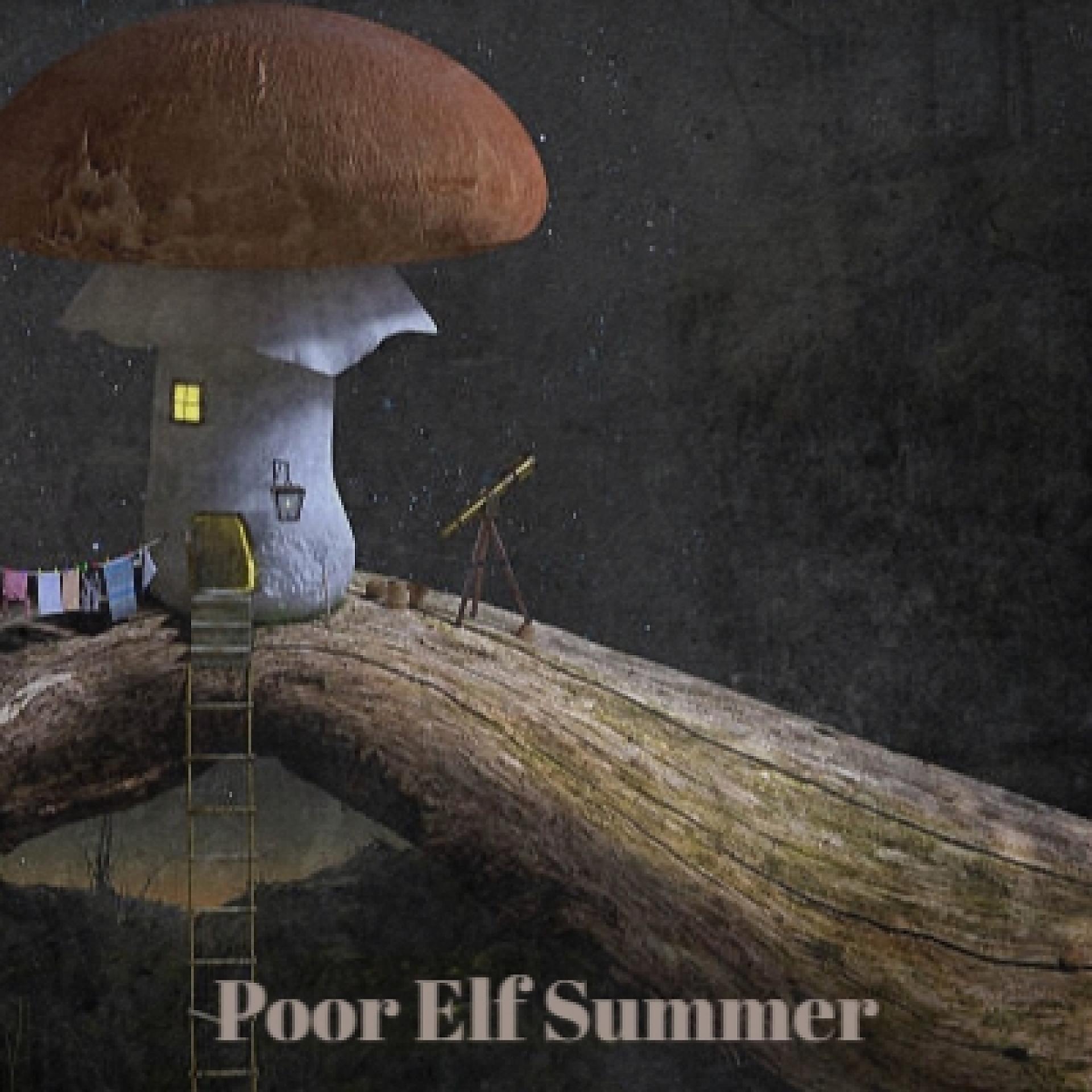 Постер альбома Poor Elf Summer