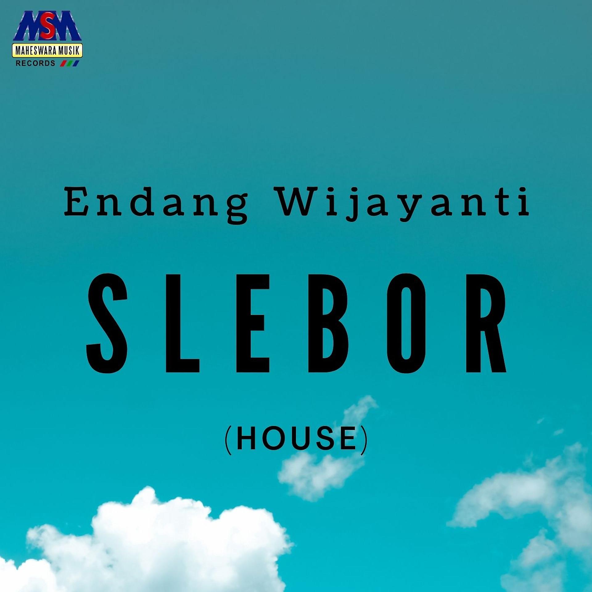 Постер альбома Slebor