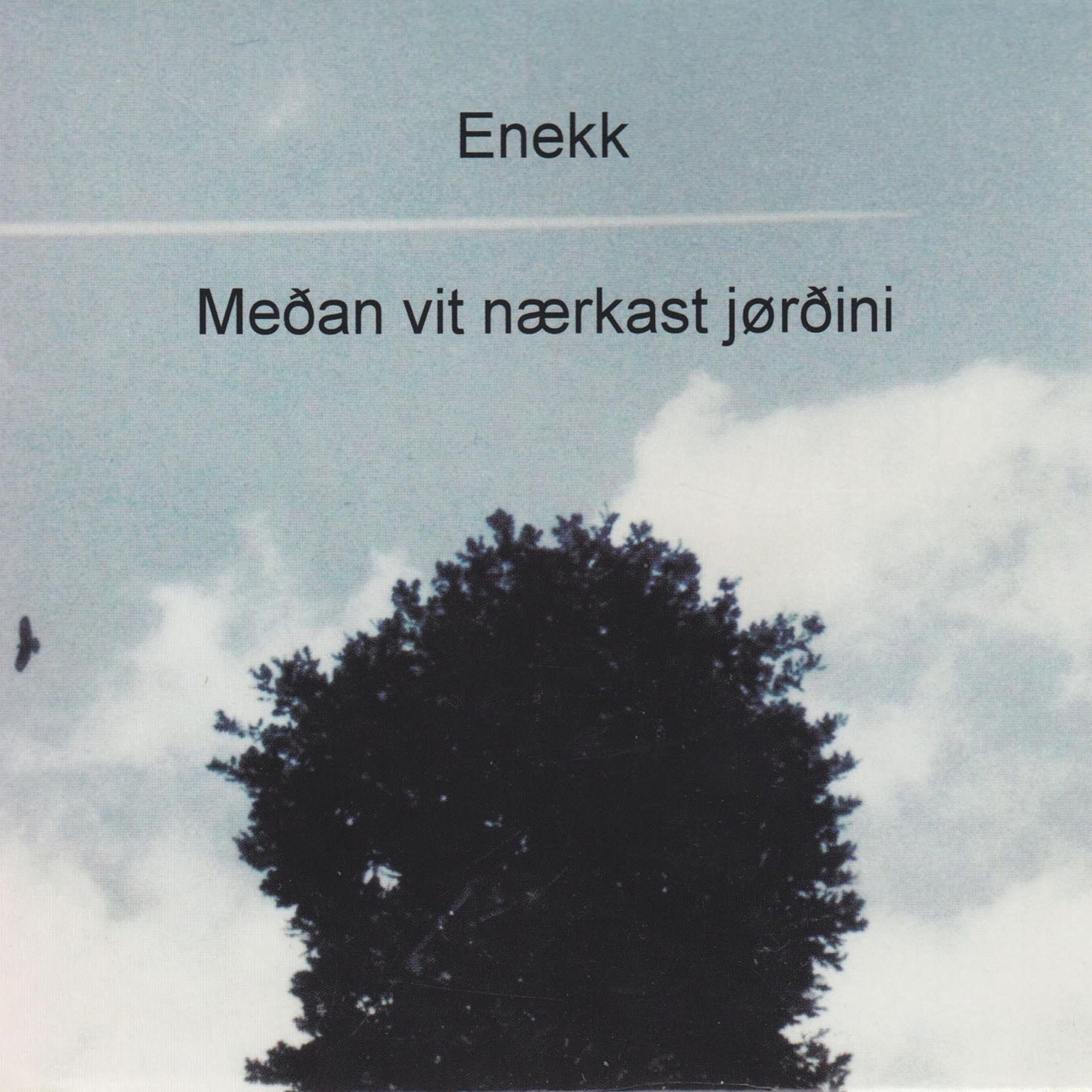 Постер альбома Meðan vit nærkast jørðini