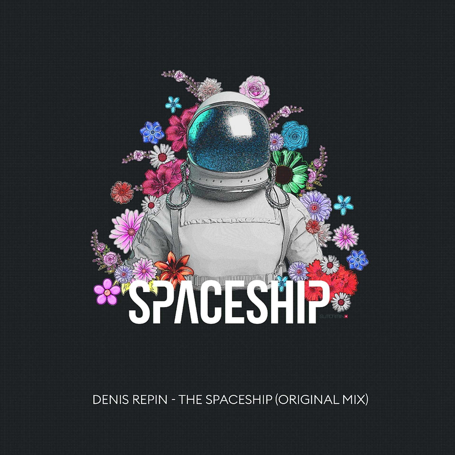 Постер альбома The Spaceship