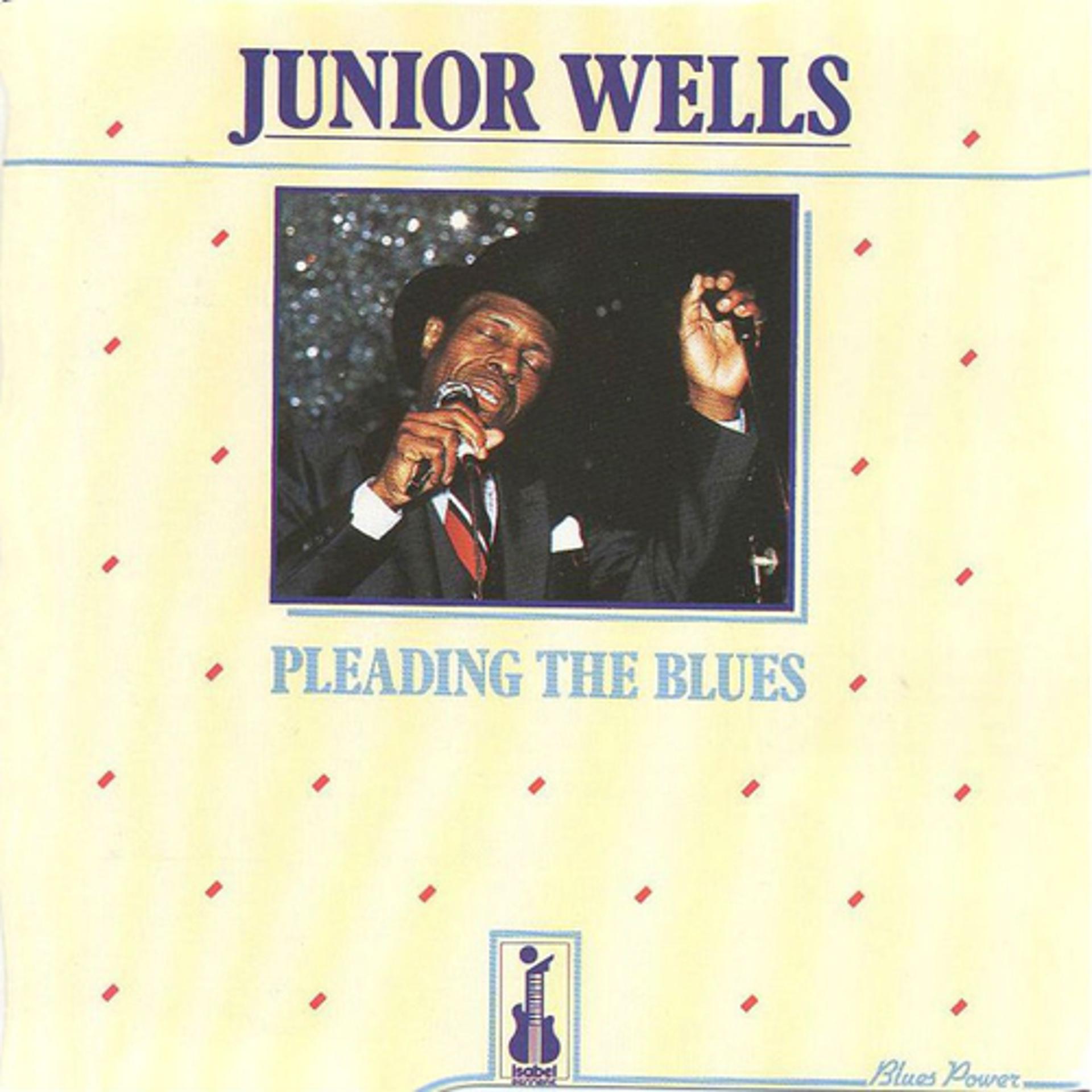 Постер альбома Pleading the Blues
