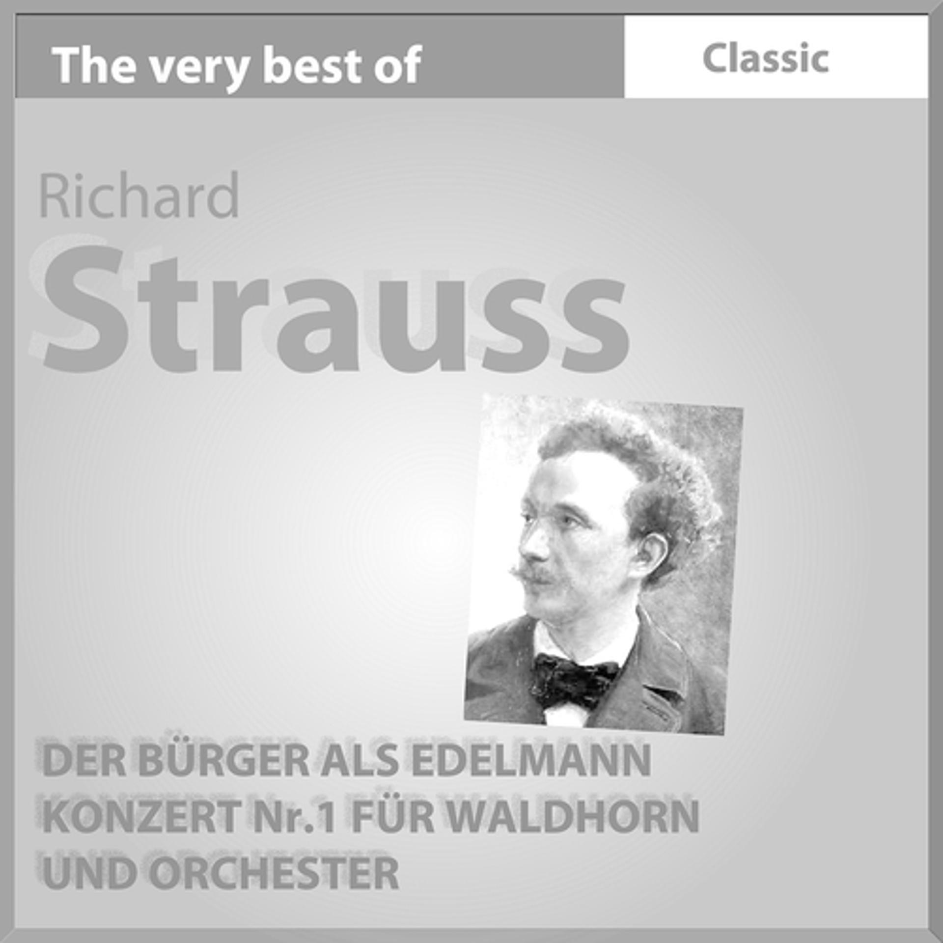 Постер альбома The Very Best of Richard Strauss: Der Bürger Als Edelmann, Konzert No. 1 Für Waldhorn Und Orchester