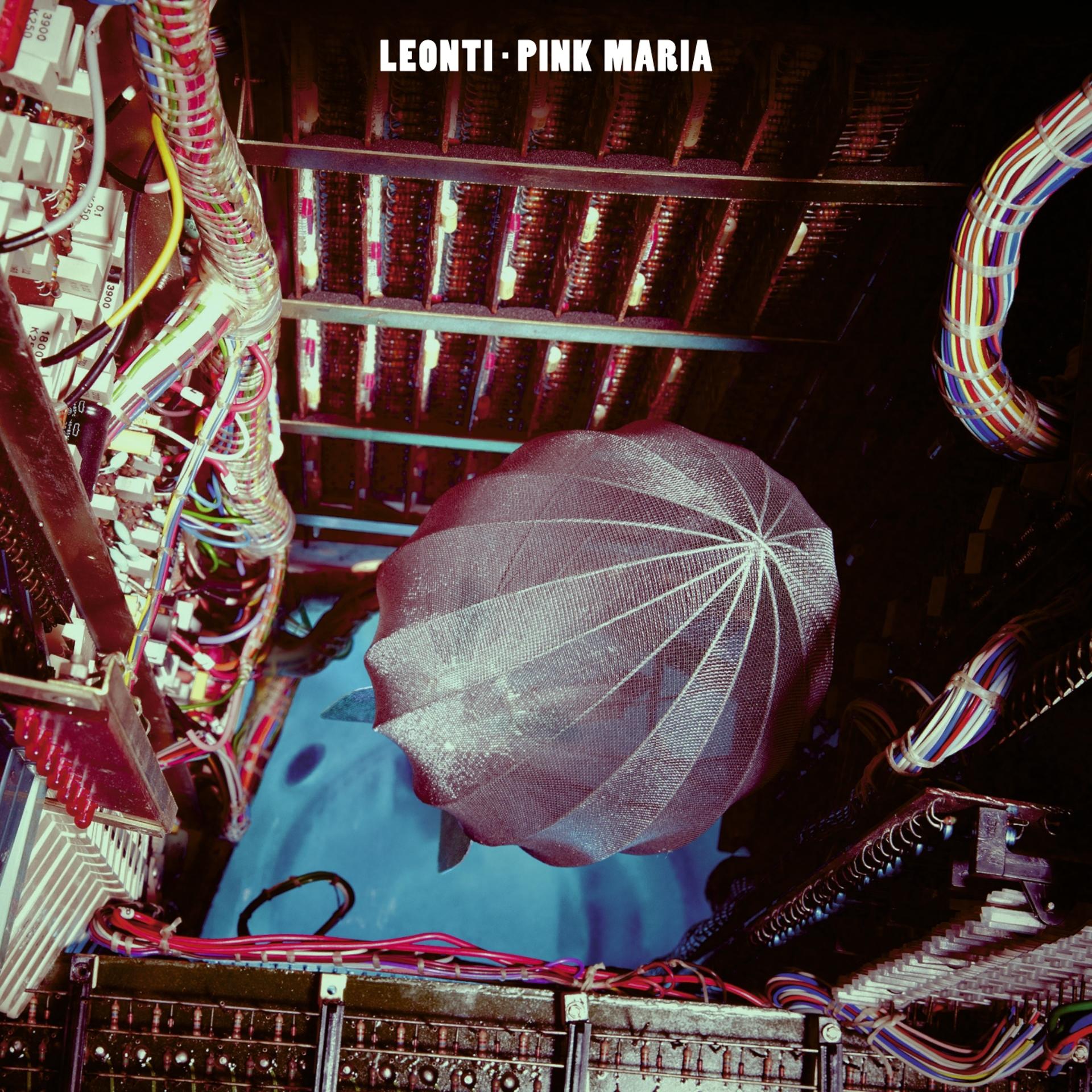 Постер альбома Pink Maria