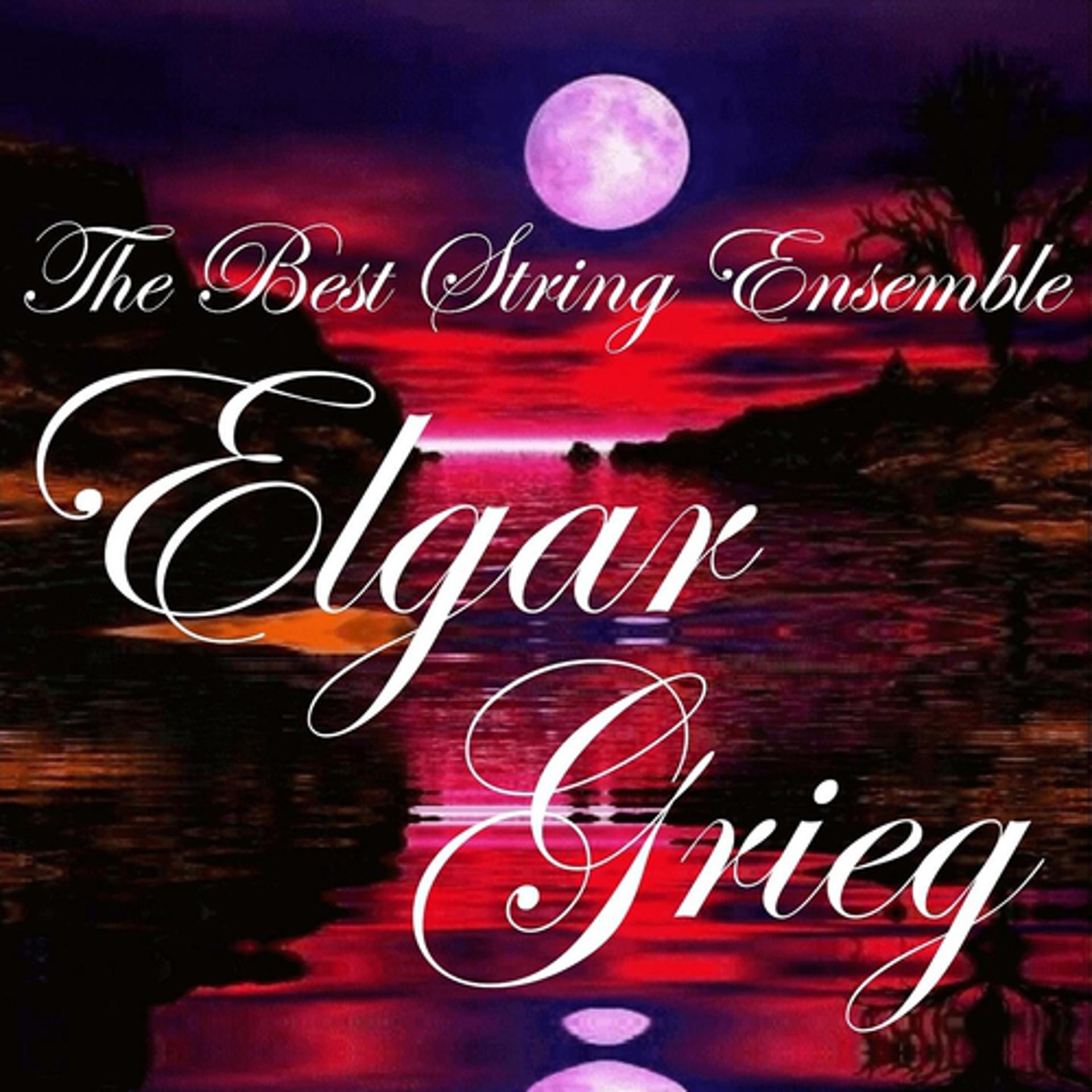 Постер альбома Elgar & Grieg: The Best String Ensemble