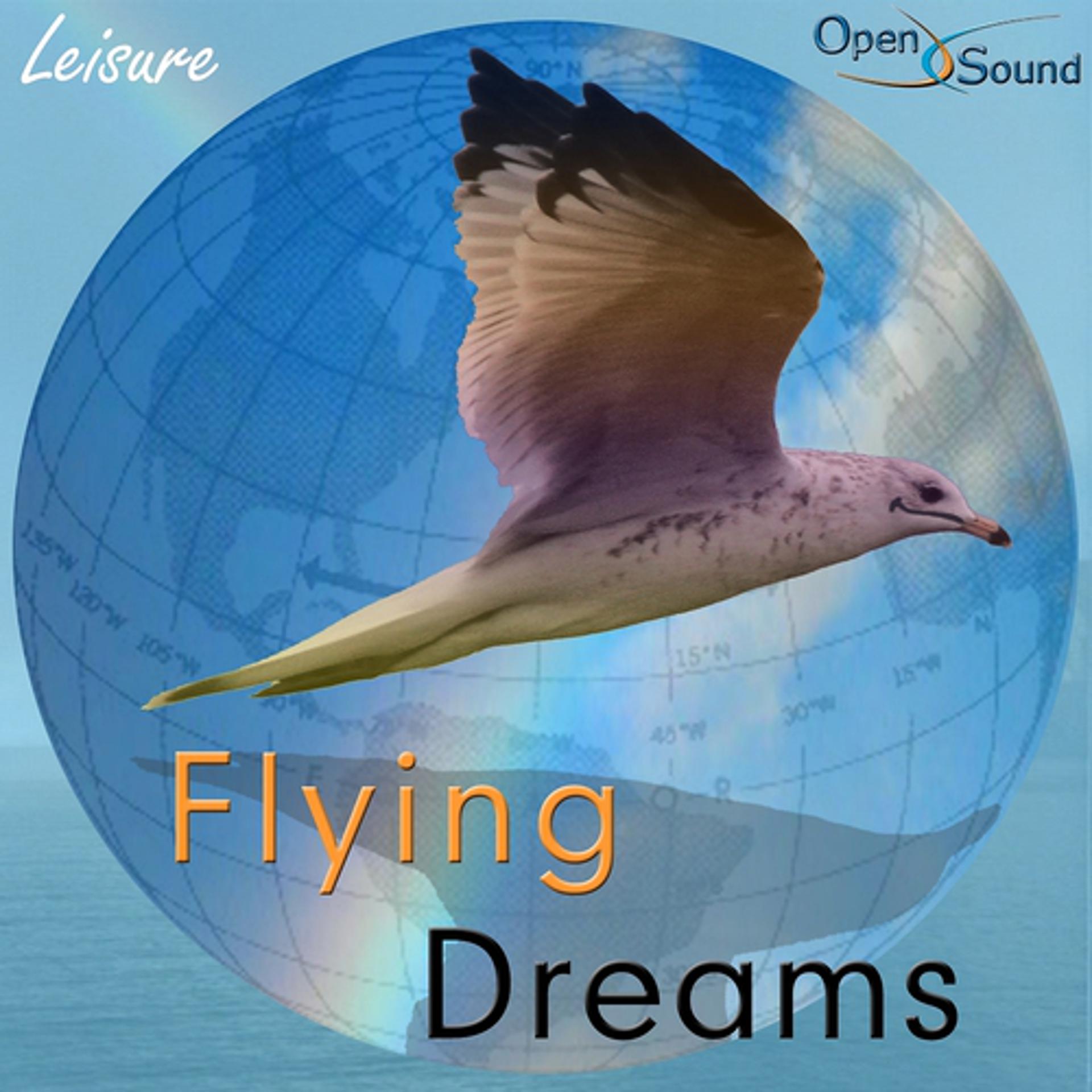 Постер альбома Flying Dreams