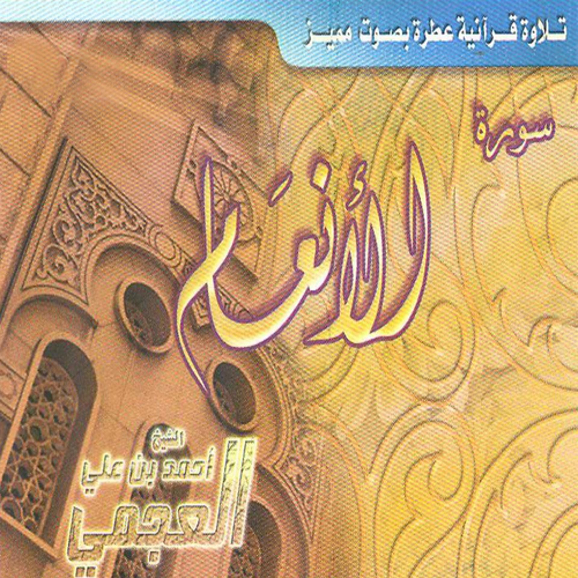Постер альбома Sourate Anaam (Coran)