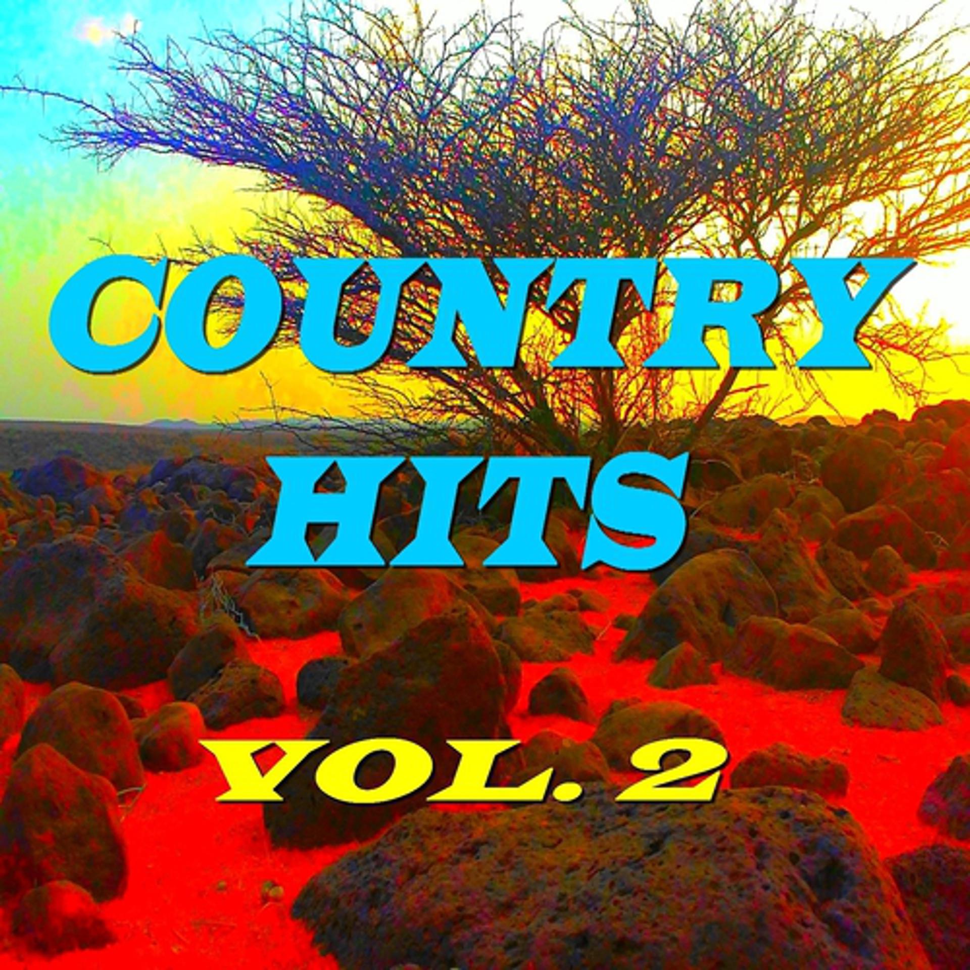 Постер альбома Country Hits, Vol. 2