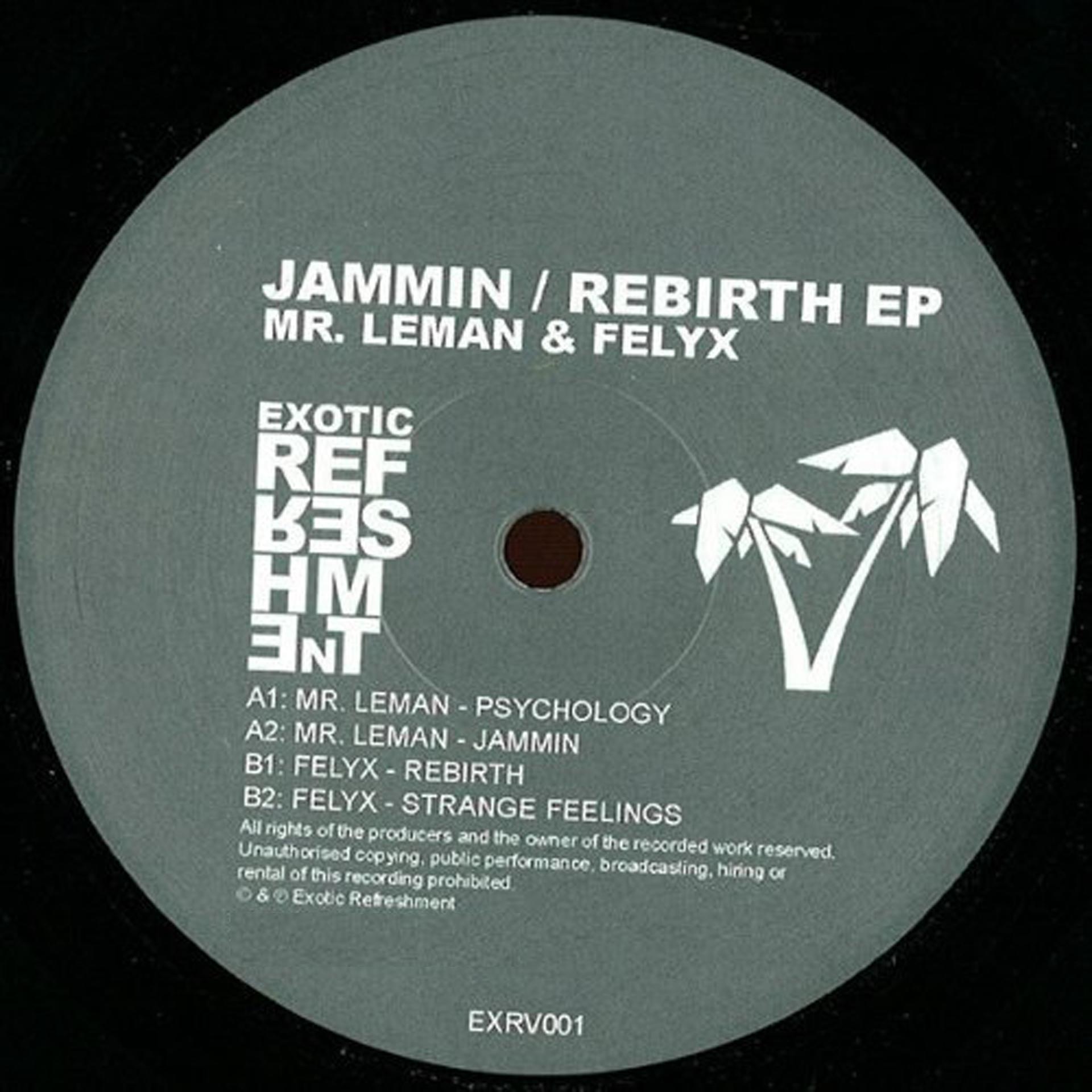 Постер альбома Jammin / Rebirth Ep