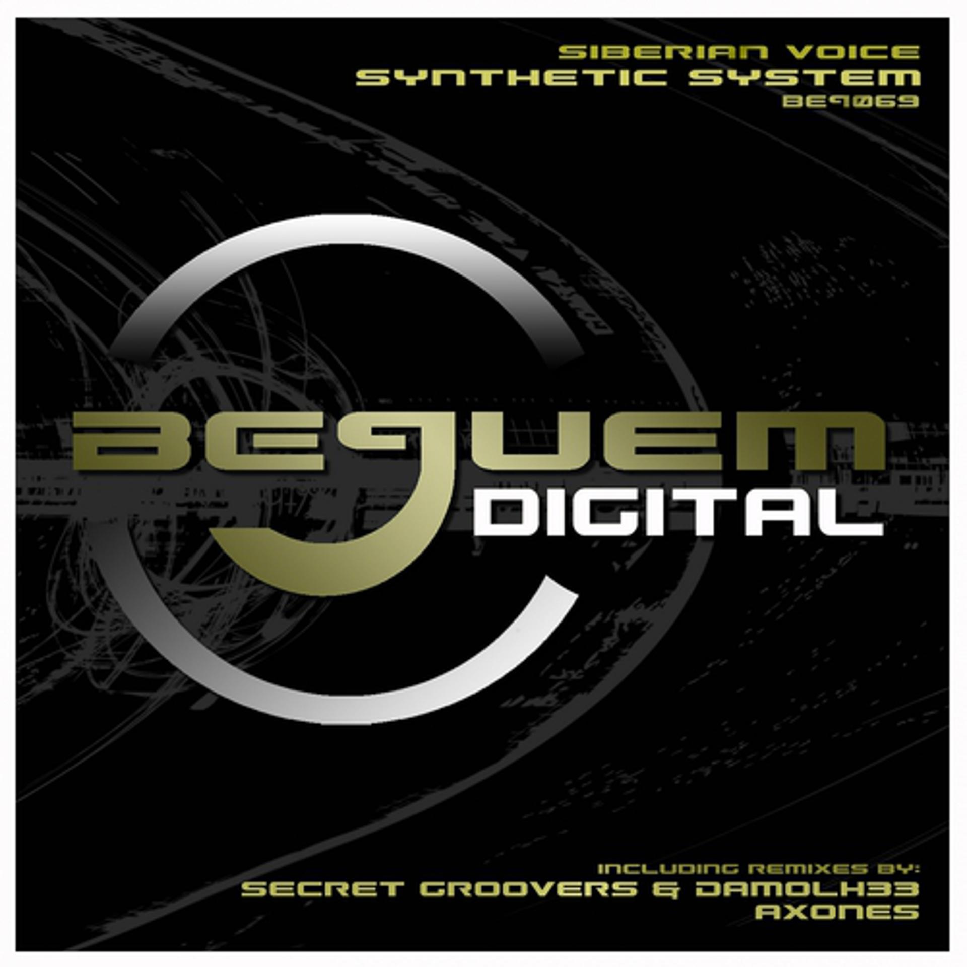 Постер альбома Synthetic System