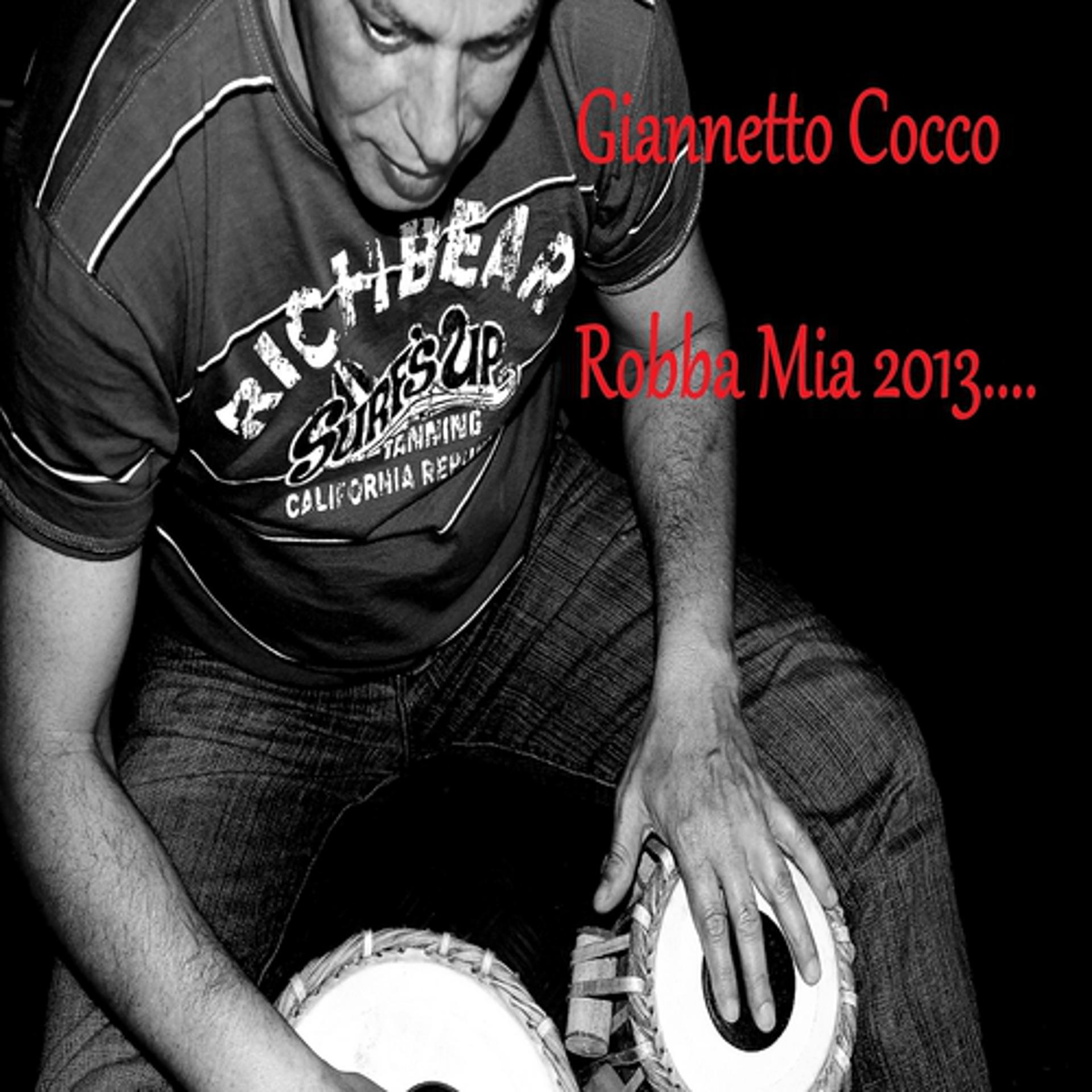 Постер альбома Robba mia 2013....