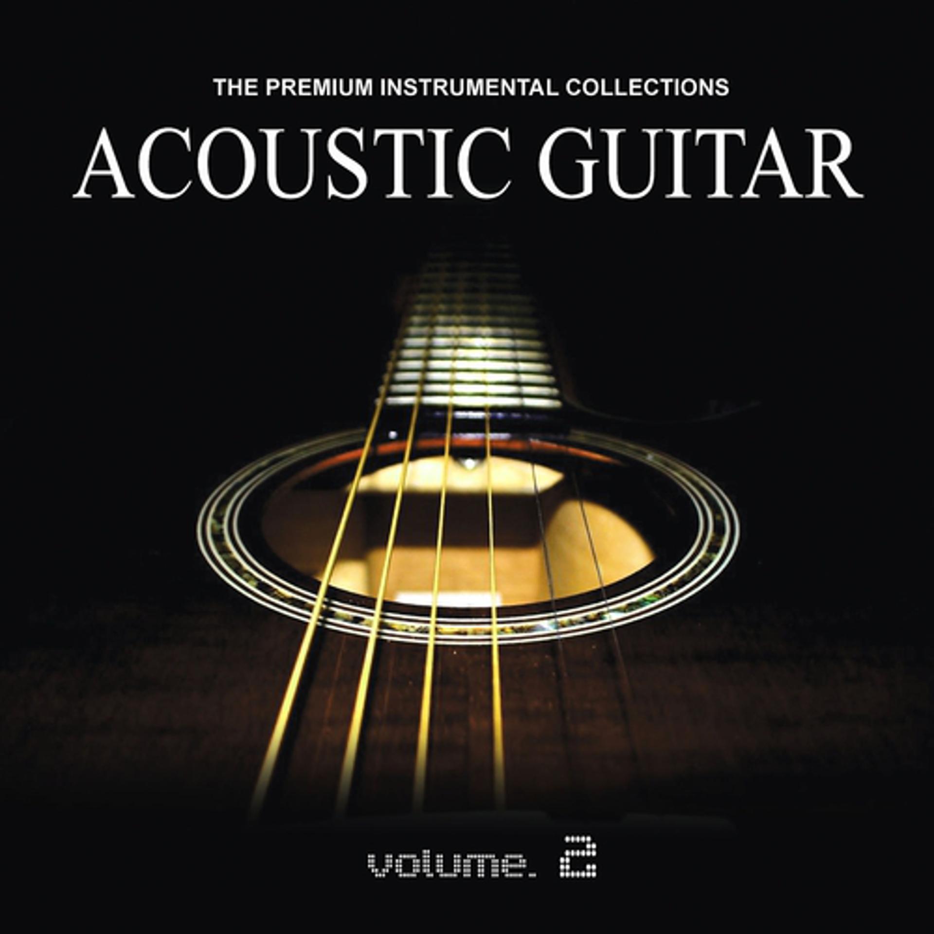Постер альбома Acoustic Guitar, Vol. 2