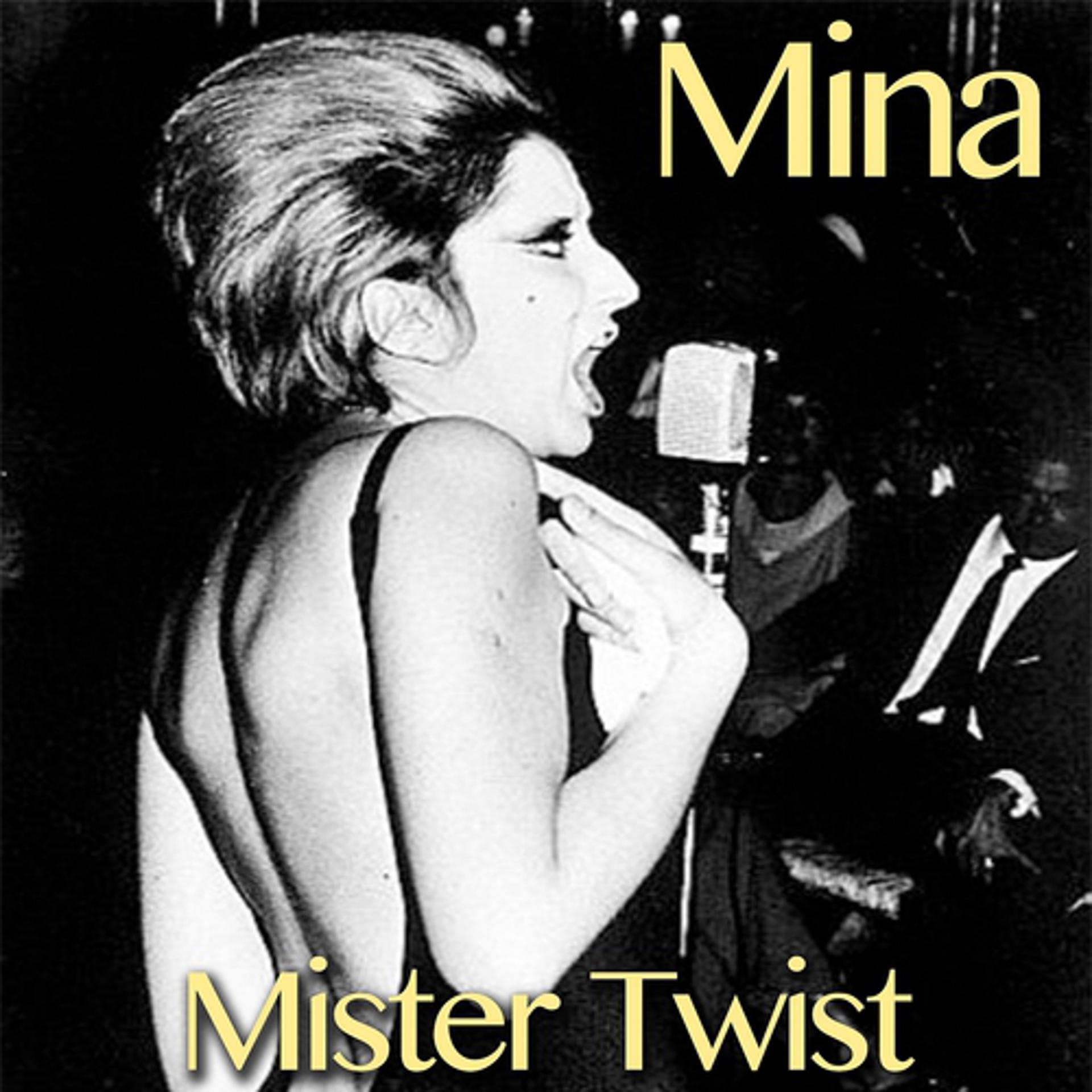 Постер альбома Mister Twist
