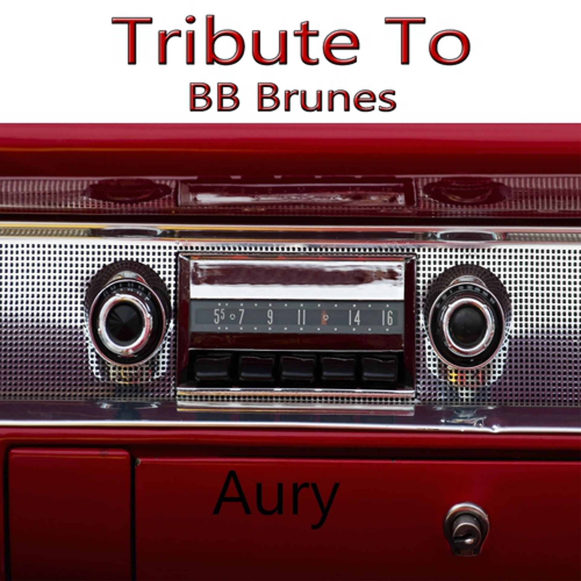 Постер альбома Tribute To BB Brunes: Coups et blessures