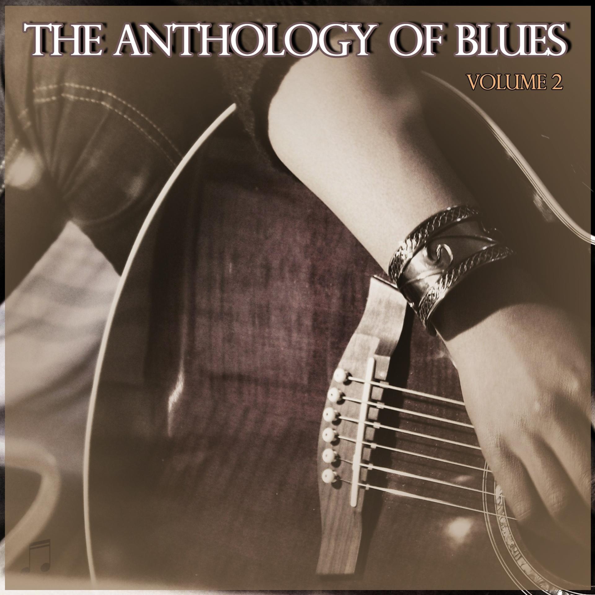 Постер альбома Anthology of Blues, Vol. 2