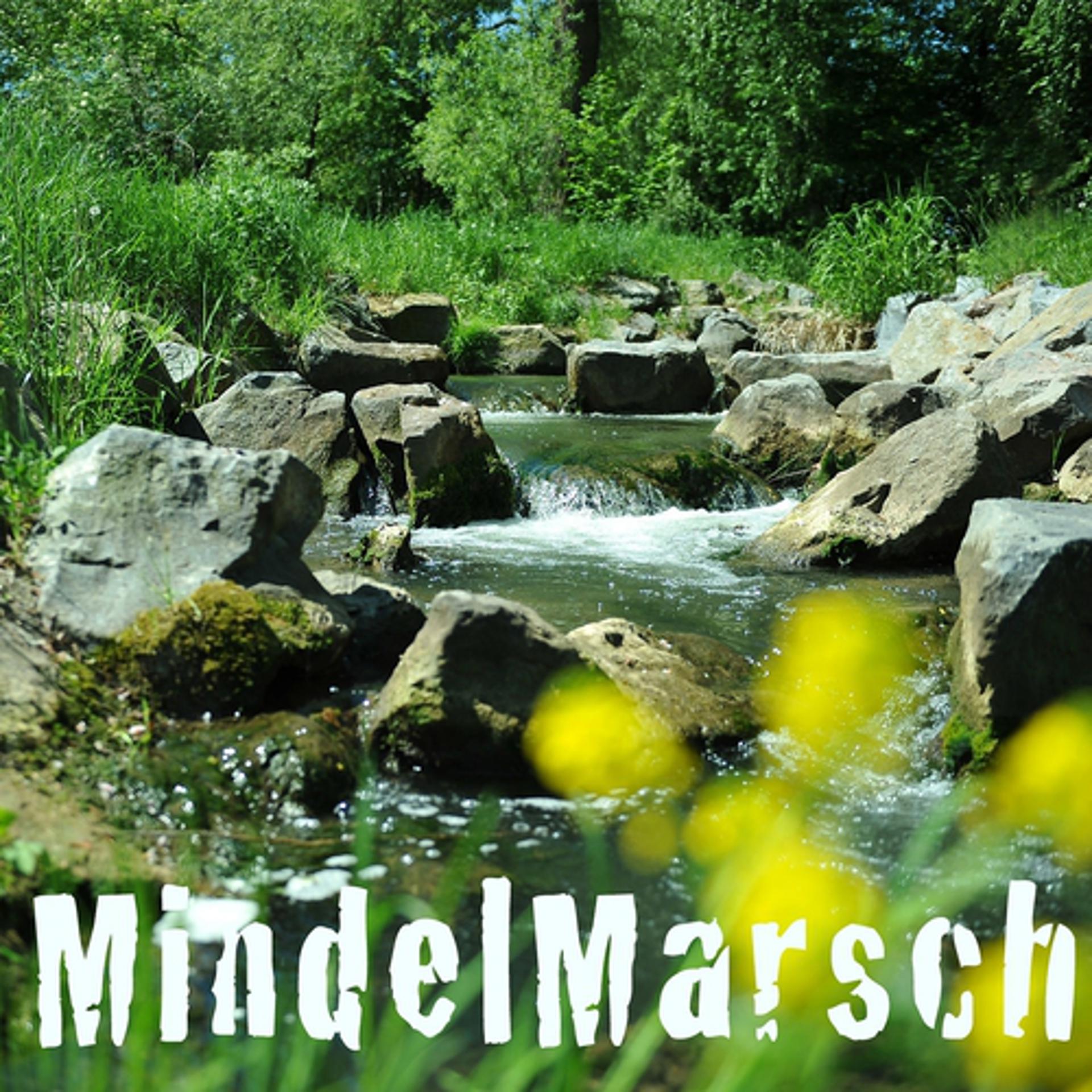 Постер альбома MindelMarsch