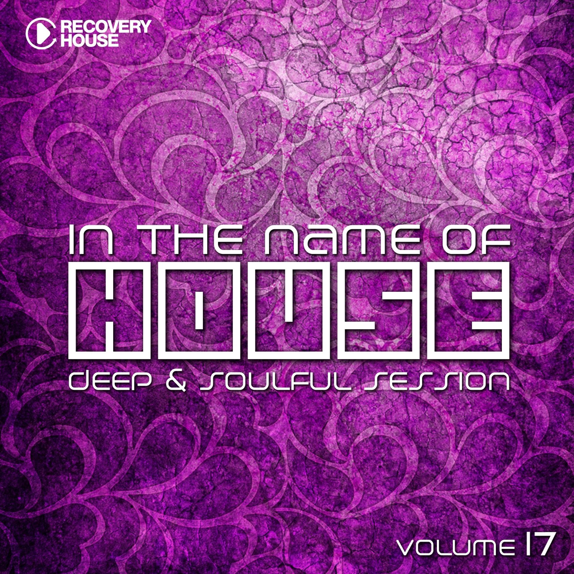 Постер альбома In the Name of House, Vol. 17