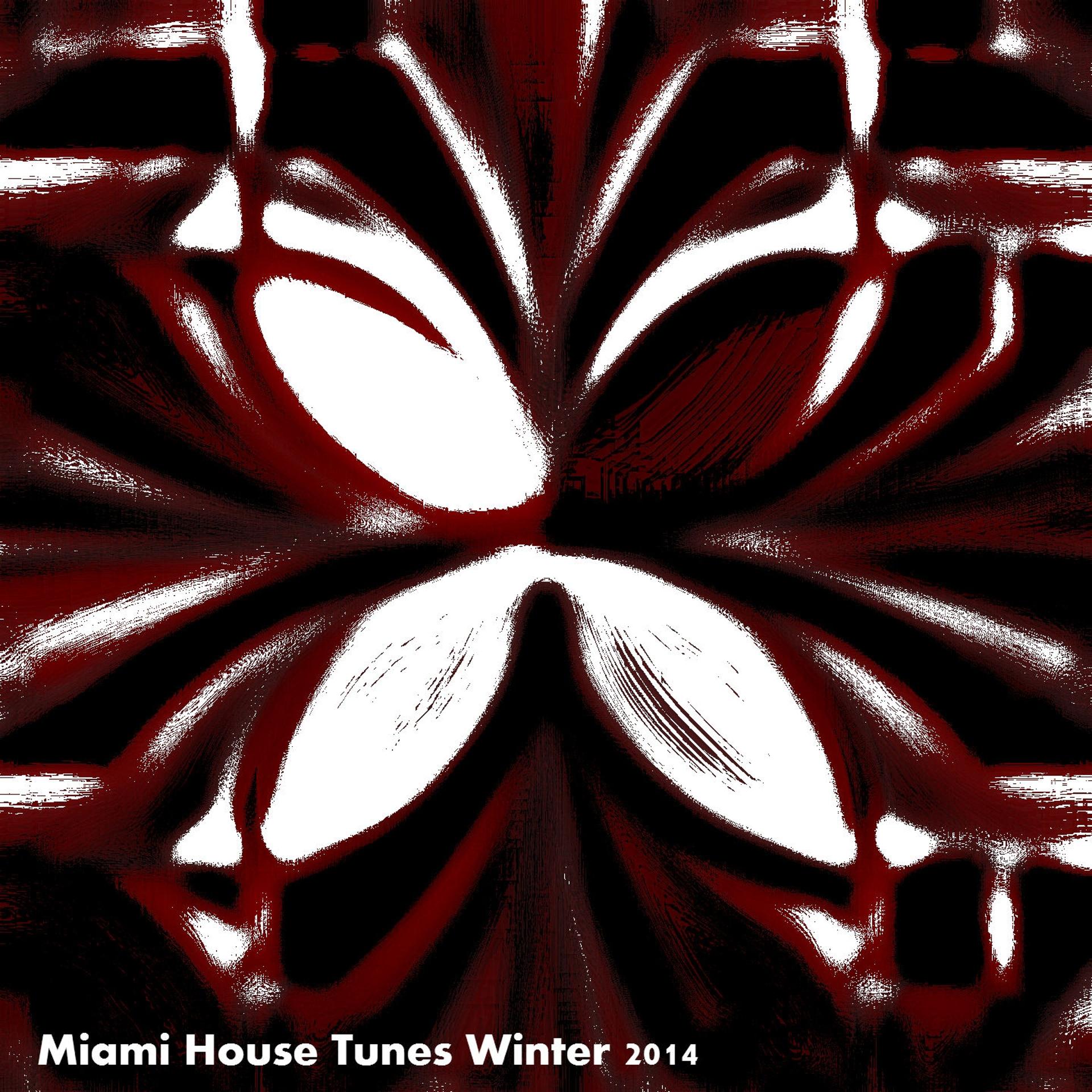 Постер альбома Miami House Tunes Winter 2014