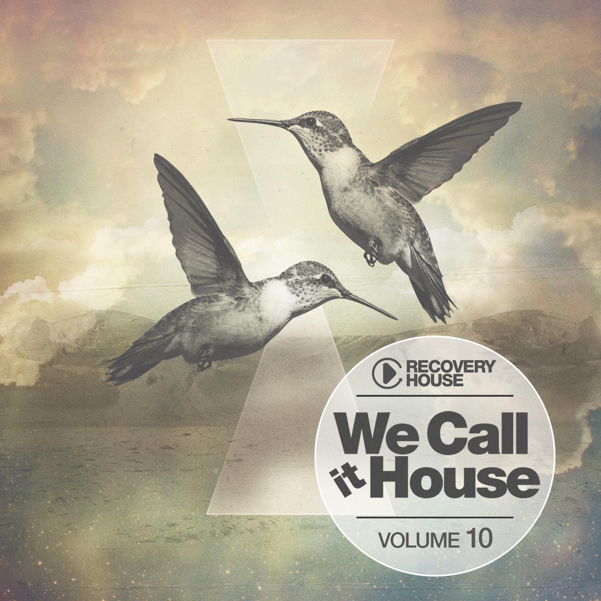 Постер альбома We Call It House, Vol. 10