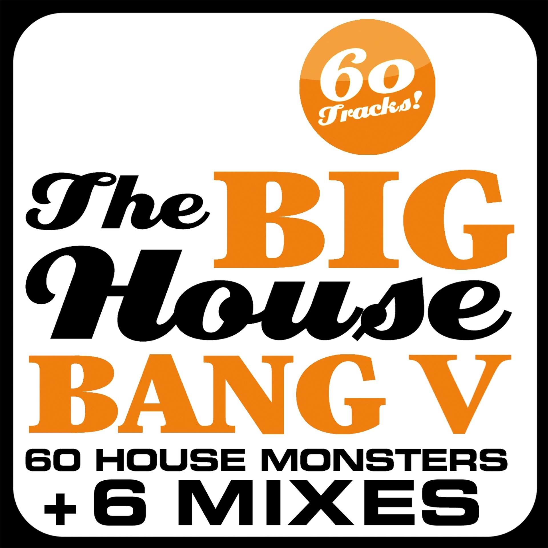 Постер альбома The Big House Bang!, Vol. 5