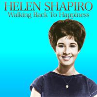 Постер альбома Walking Back to Happiness