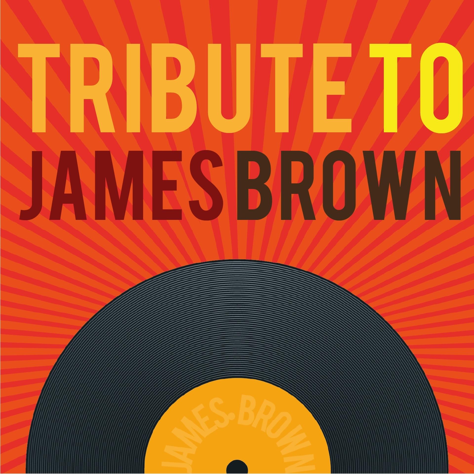 Постер альбома Tribute to James Brown