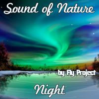 Постер альбома Sound of Nature: Night