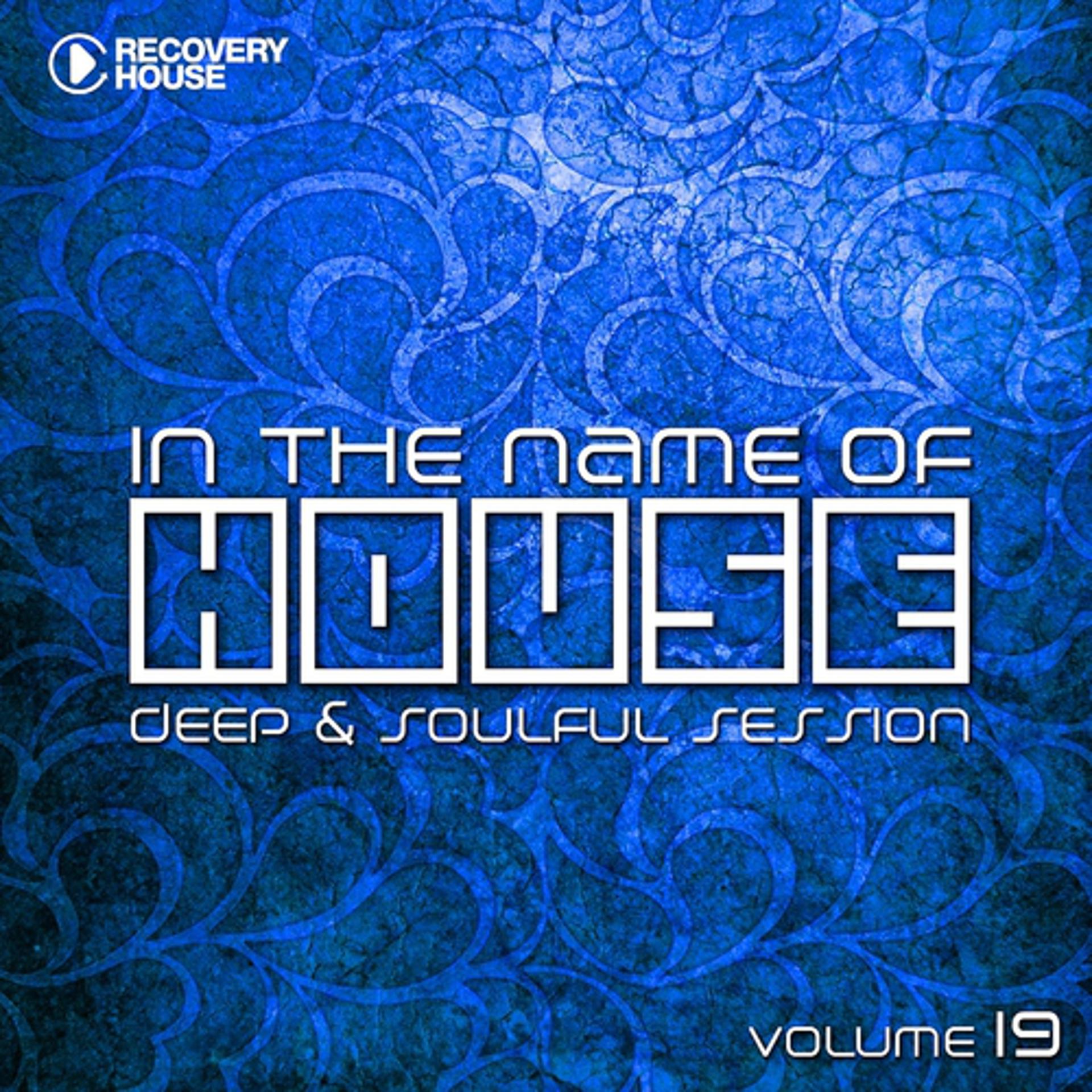 Постер альбома In The Name Of House, Vol. 19