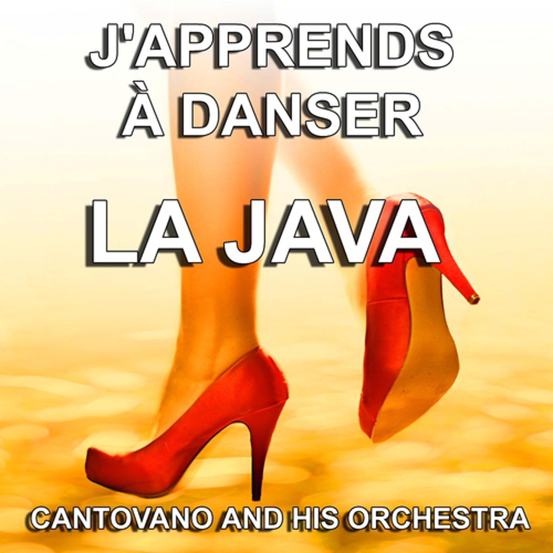 Постер альбома J'apprends à danser la Java