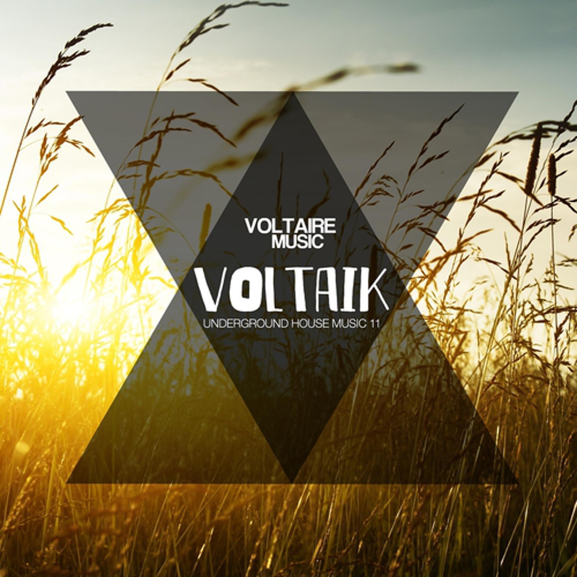 Постер альбома Voltaik, Vol. 11