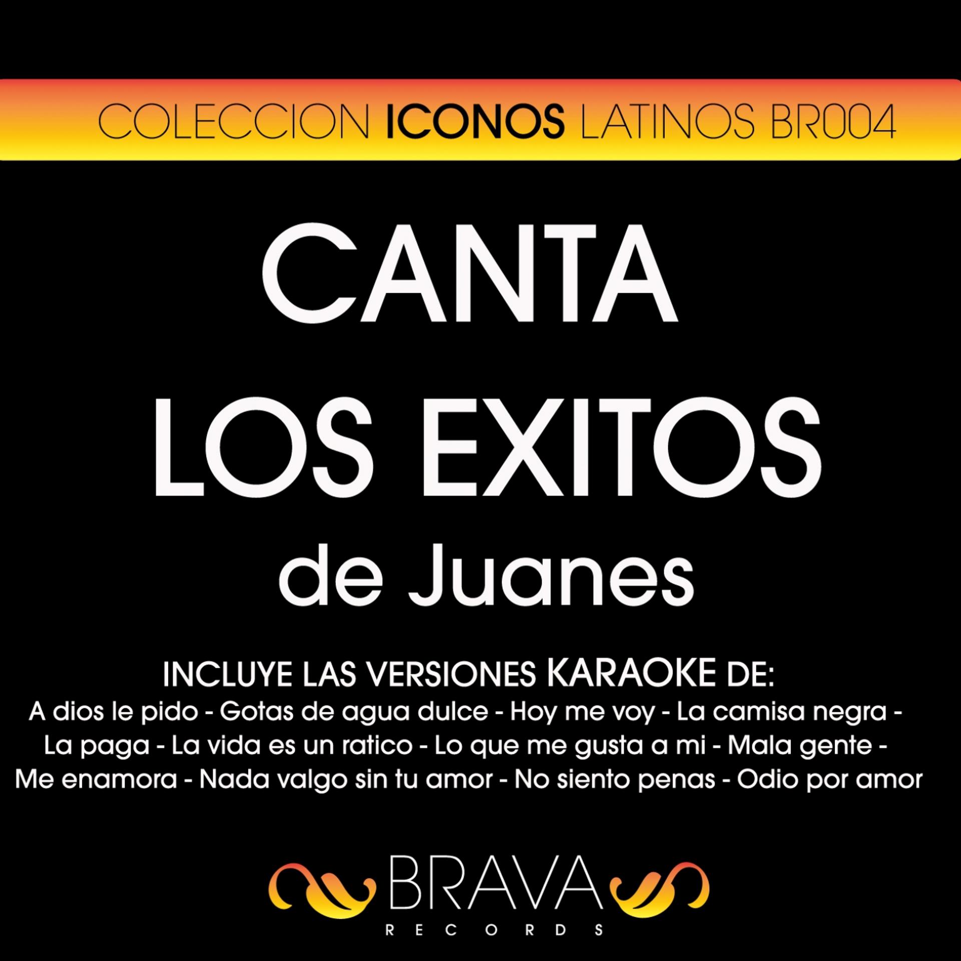 Постер альбома Canta los Exitos de Juanes
