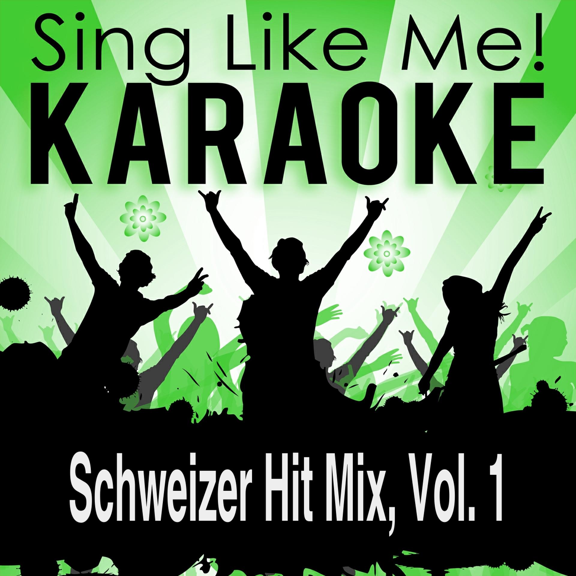 Постер альбома Schweizer Hit Mix, Vol. 1 (Karaoke Version)