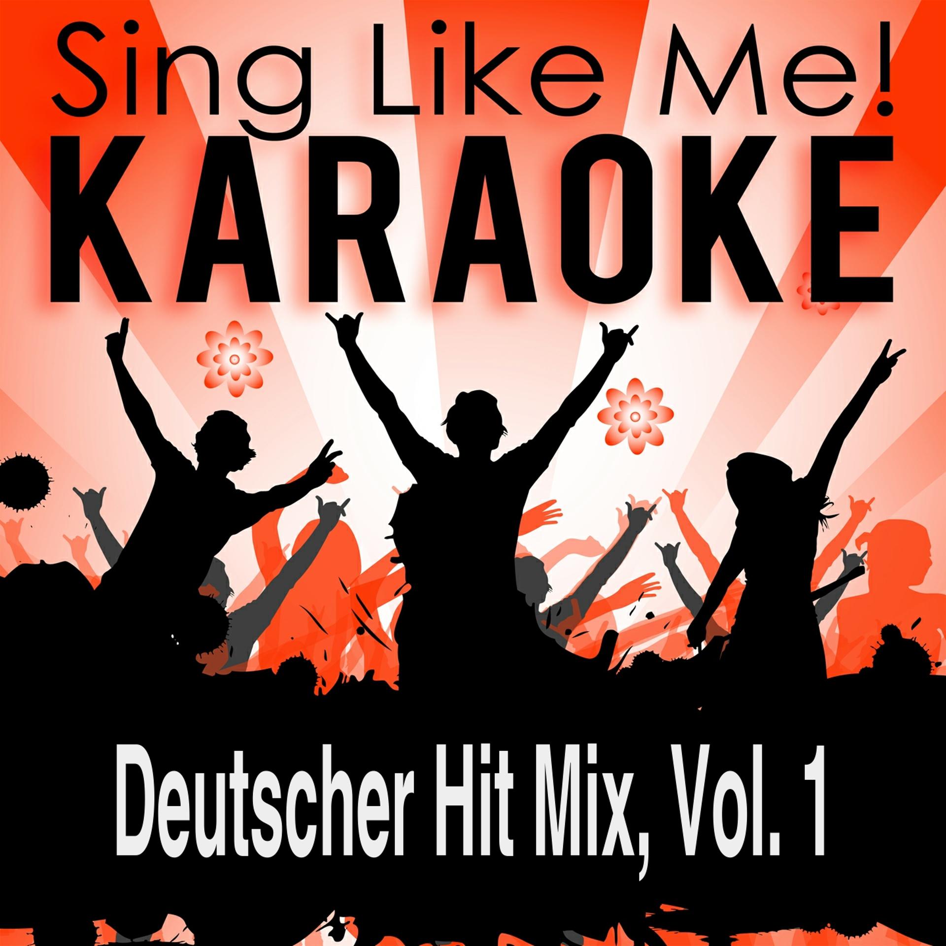 Постер альбома Deutscher Hit Mix, Vol. 1 (Karaoke Version)
