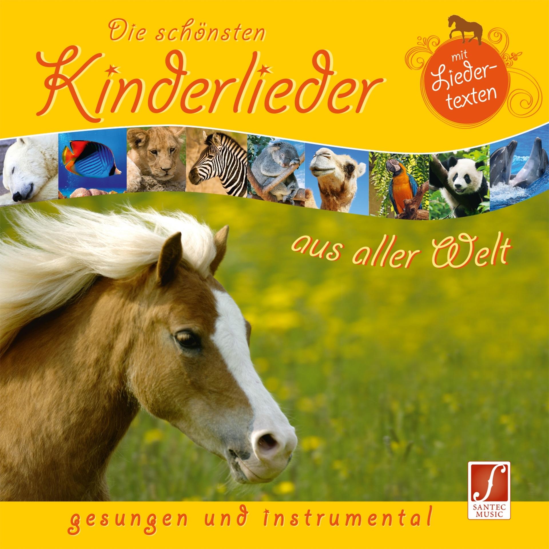 Постер альбома Die schönsten Kinderlieder aus aller Welt