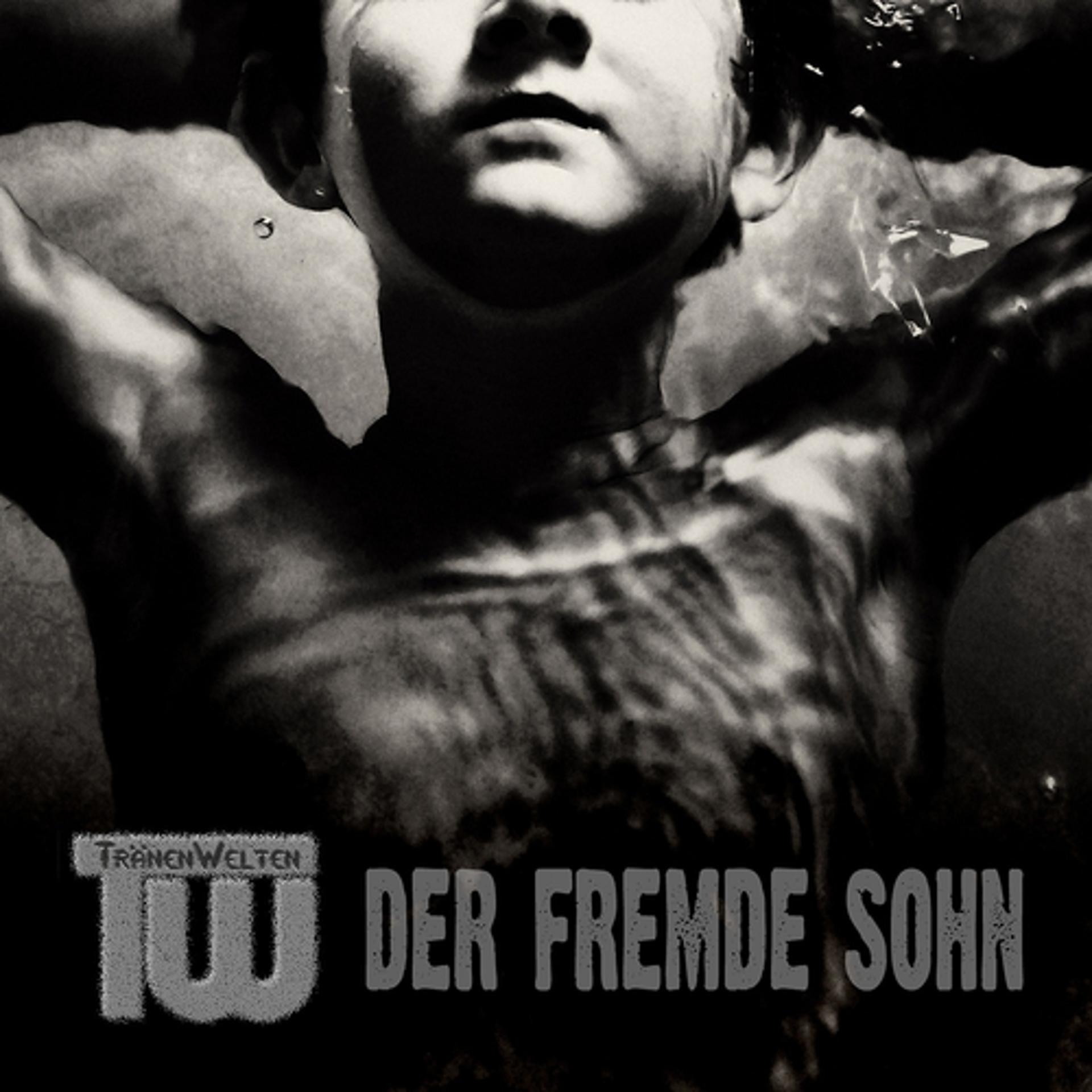 Постер альбома Der fremde Sohn