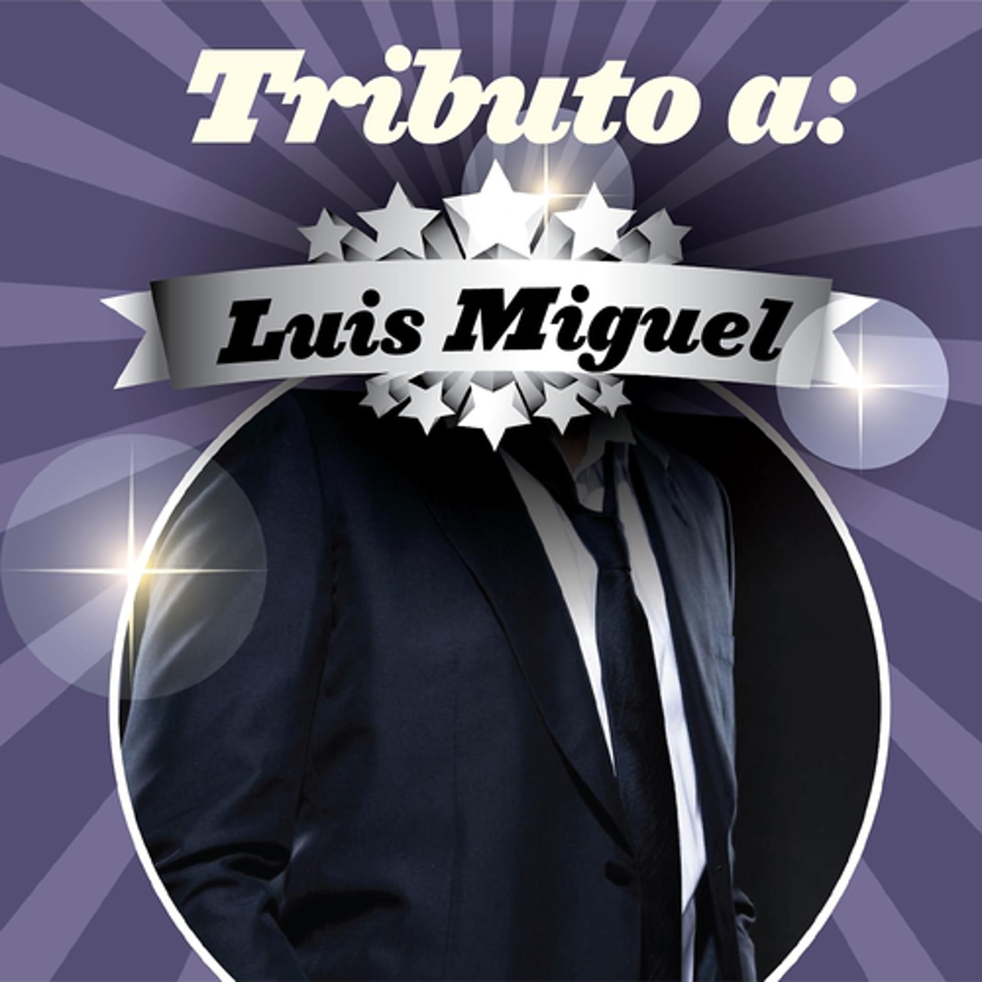 Постер альбома Tributo a Luis Miguel
