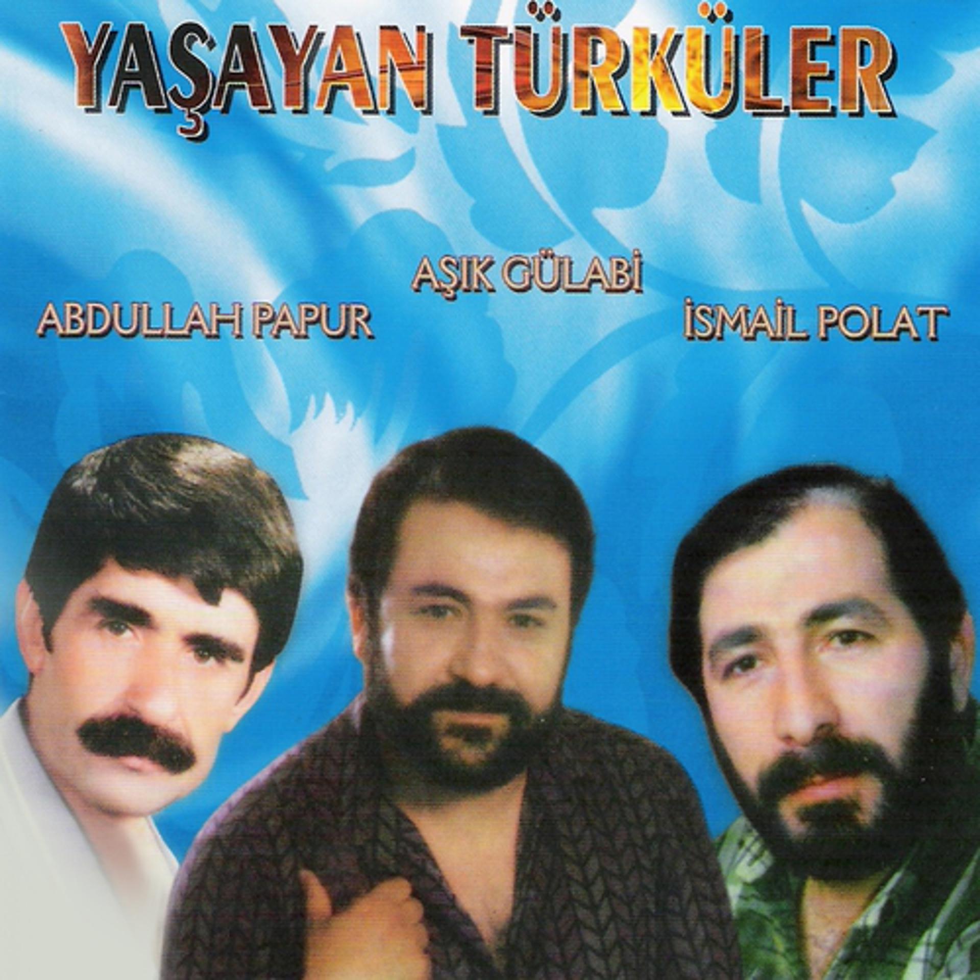 Постер альбома Yaşayan Türküler