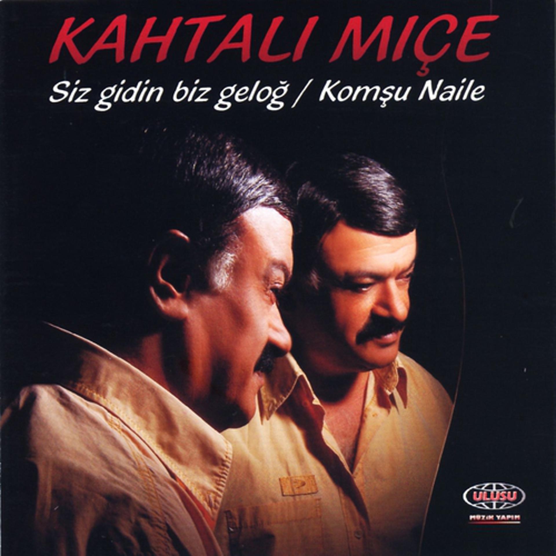 Постер альбома Siz Gidin Biz Geloğ / Komşu Naile