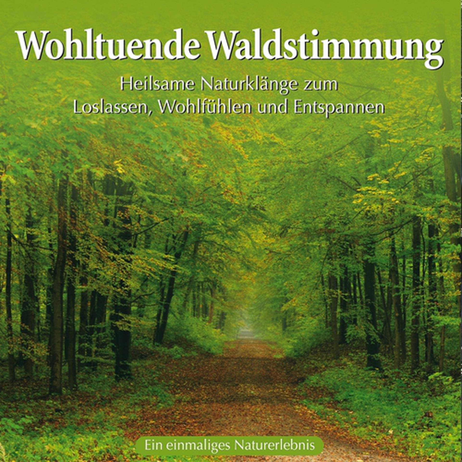 Постер альбома Wohltuende Waldstimmung: Heilsame Naturgeräusche
