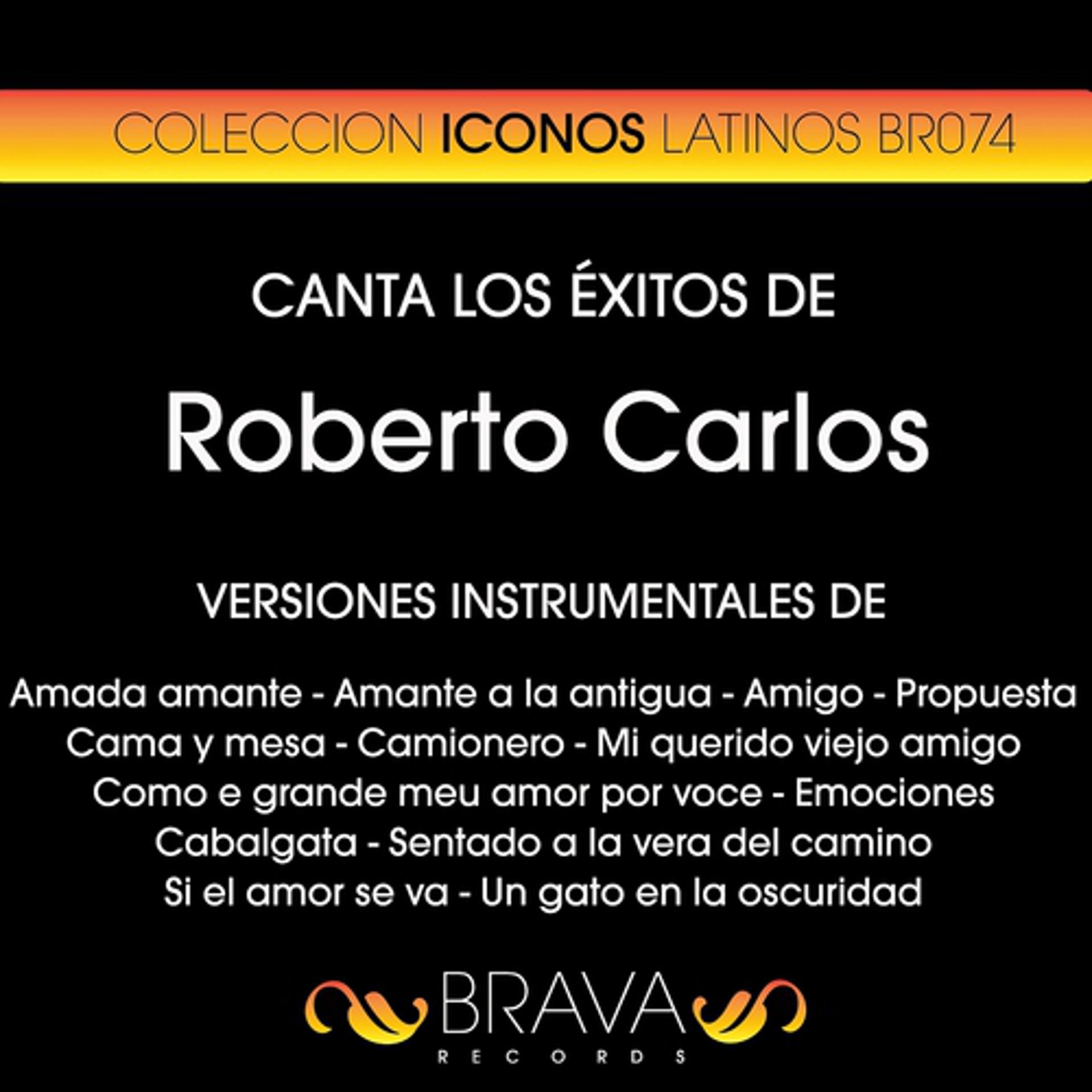 Постер альбома Canta los Exitos de Roberto Carlos