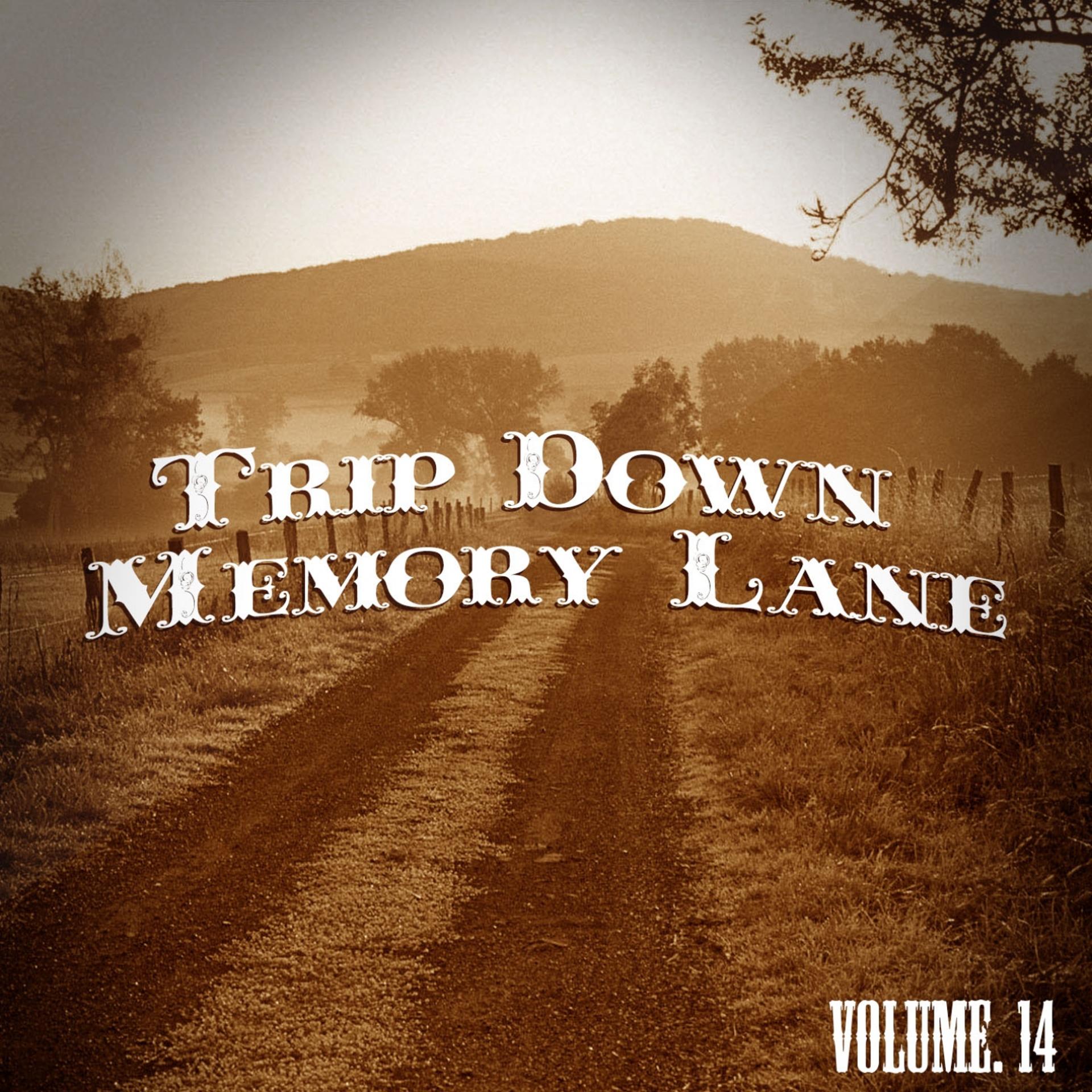 Постер альбома Trip Down Memory Lane, Vol. 14