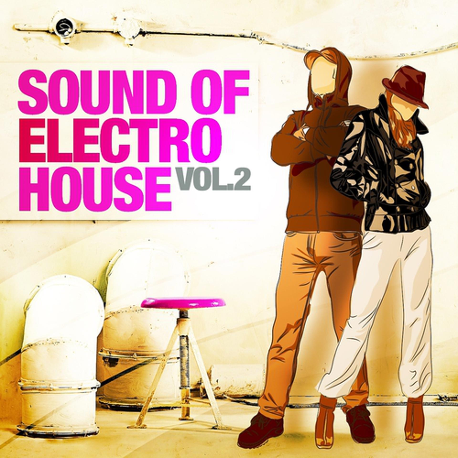 Постер альбома Sound Of Electro House, Vol. 2