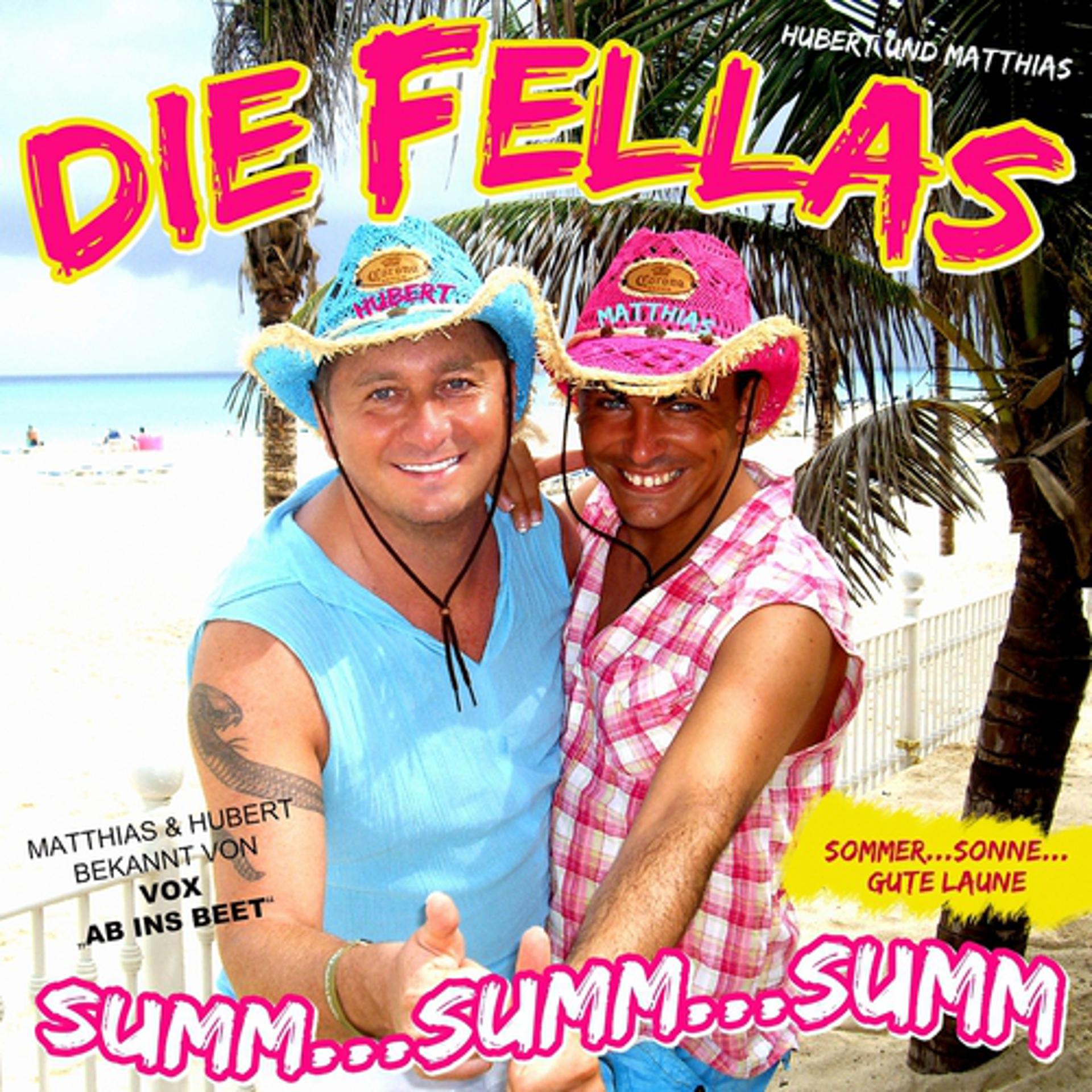 Постер альбома Summ Summ Summ - Ich will Dich