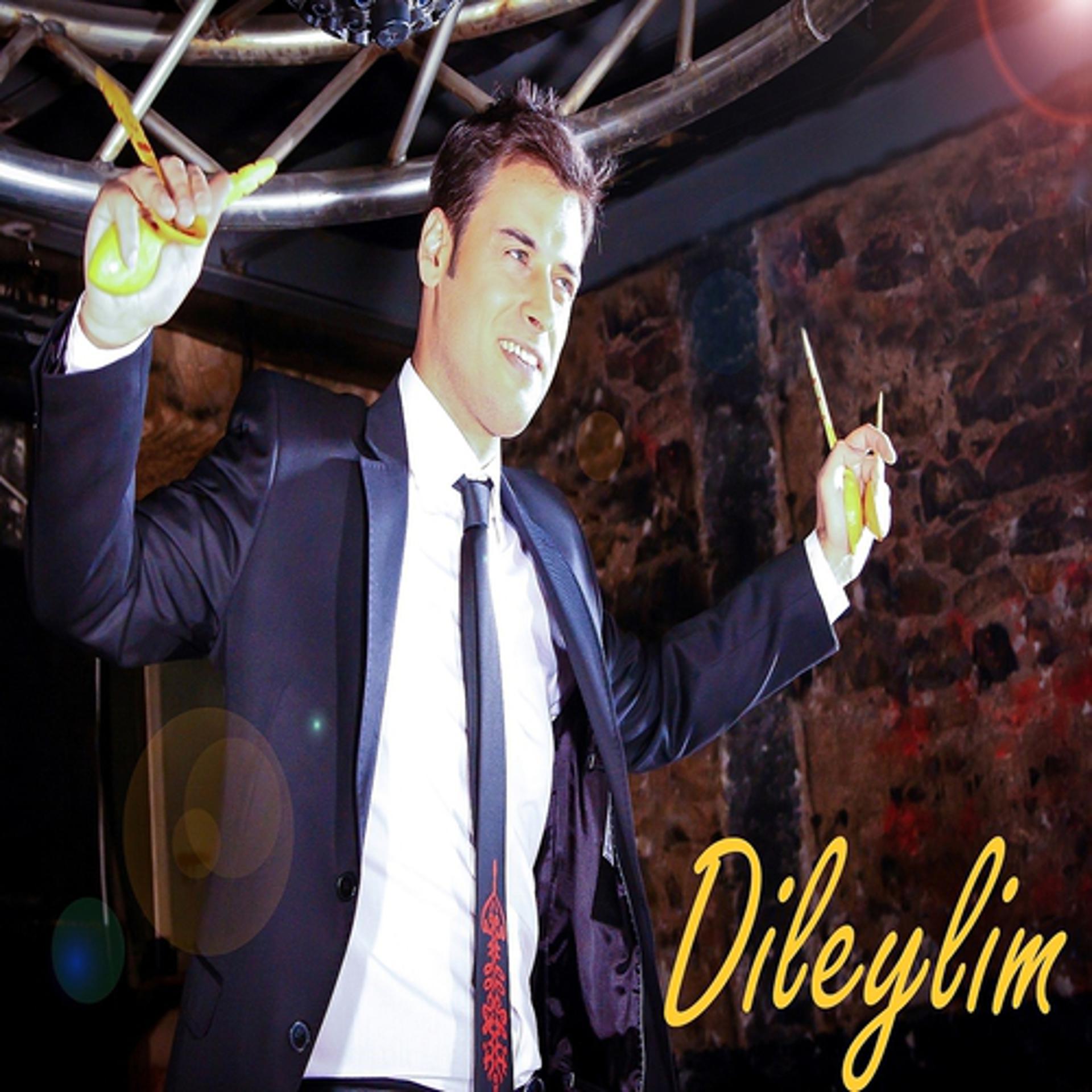 Постер альбома Dileylim