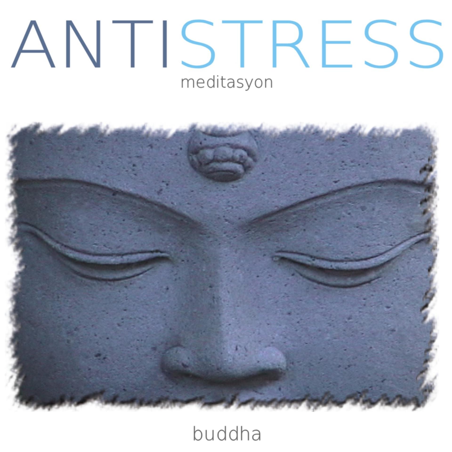 Постер альбома Antistress | Buddha