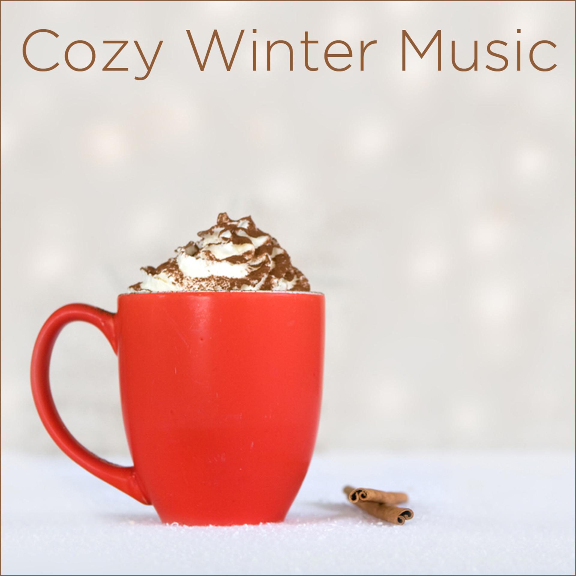 Постер альбома Cozy Winter Music